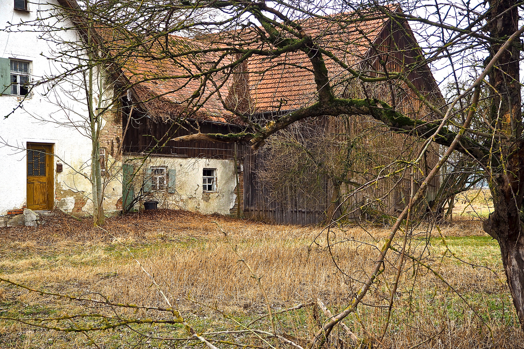 Olympus OM-D E-M5 II sample photo. Abandoned yet beautiful photography