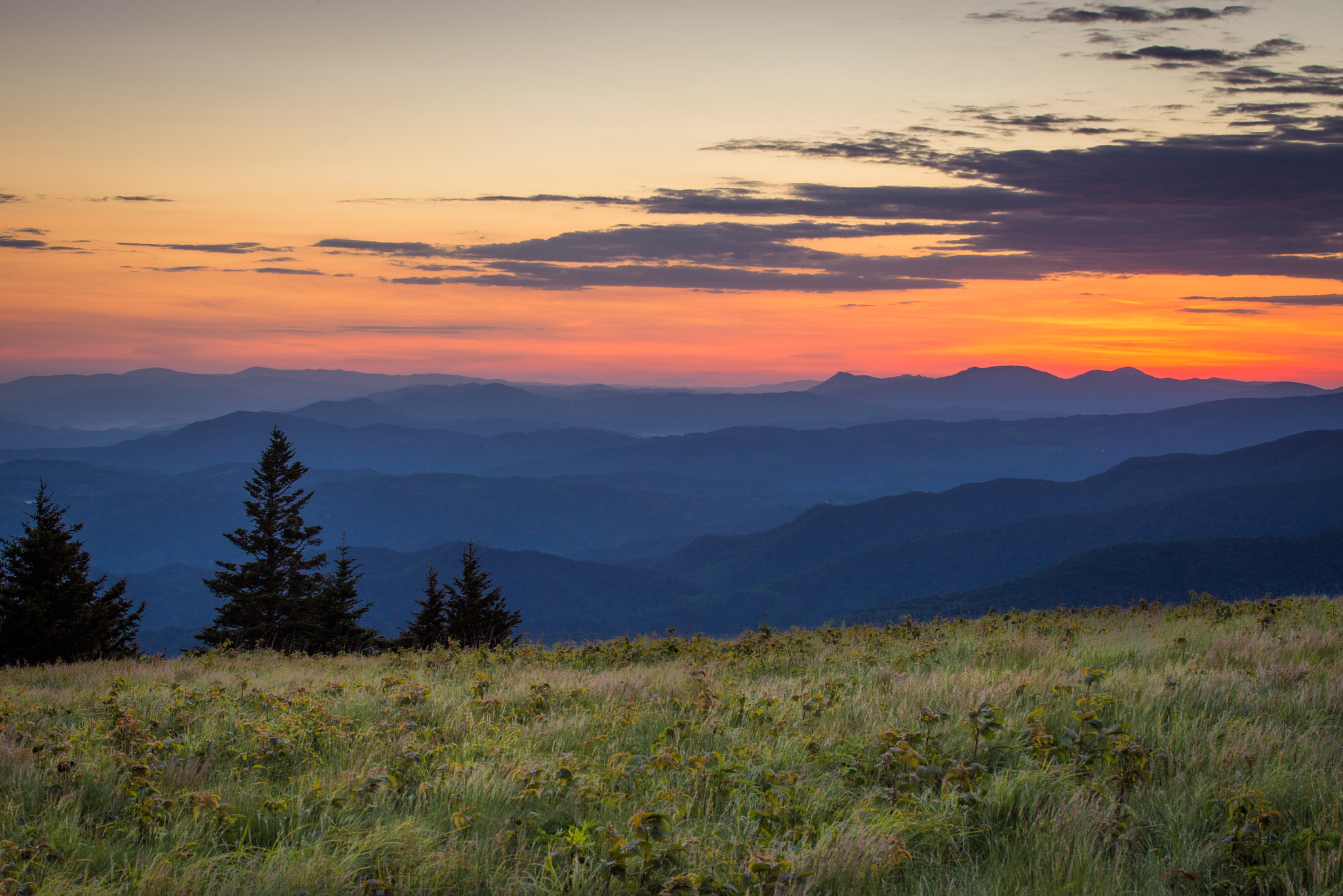 Tamron SP 70-200mm F2.8 Di VC USD sample photo. Lush blue ridge mountain sun rise photography