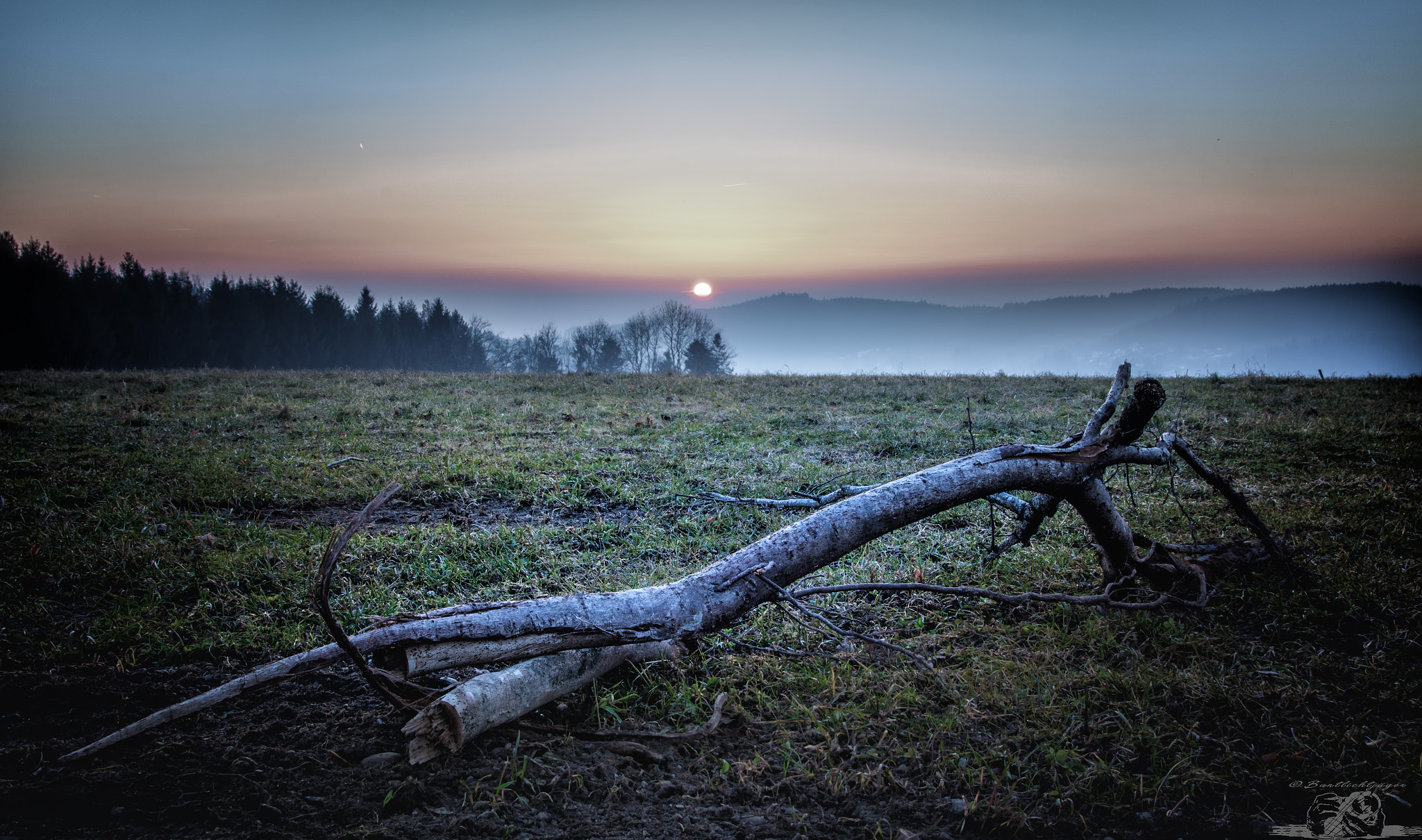 Sigma 18-50mm f/2.8 Macro sample photo. Weite....  photography