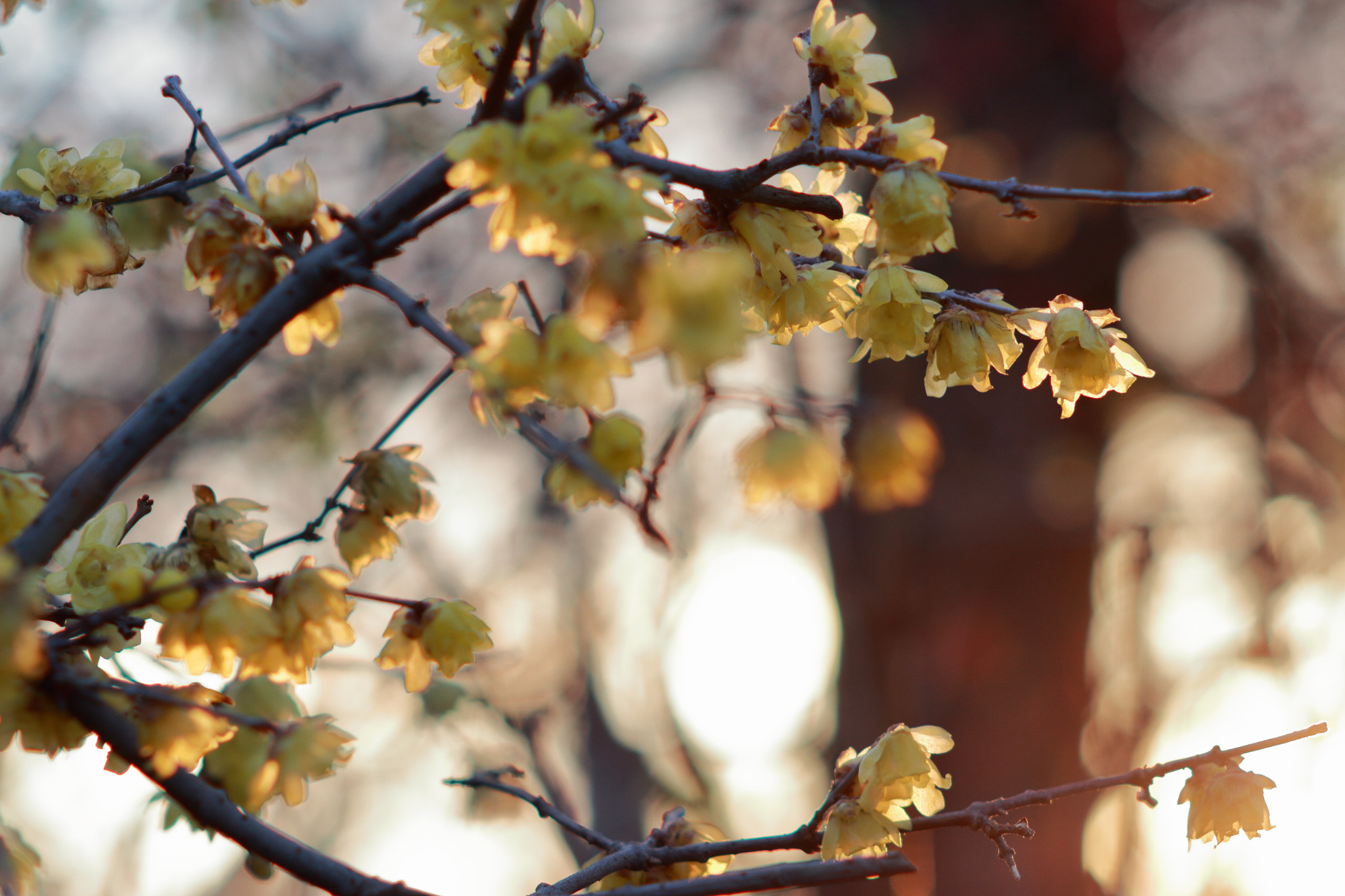 Canon EF 35-80mm f/4-5.6 sample photo. Untitled photography