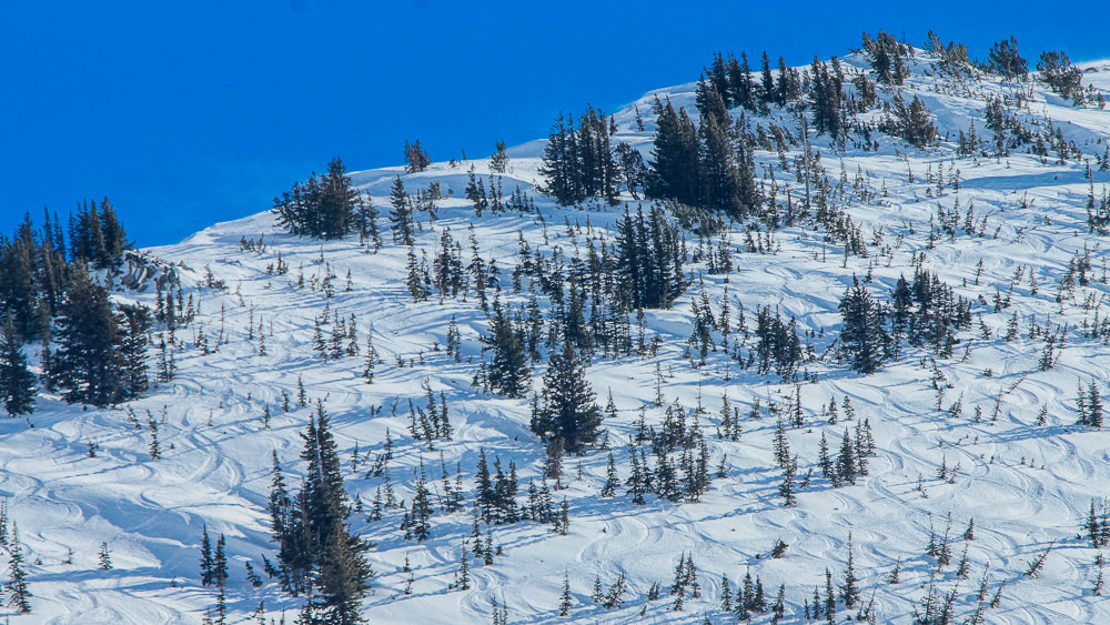 Sony SLT-A77 + Sony 70-400mm F4-5.6 G SSM sample photo. Ski-trodden photography