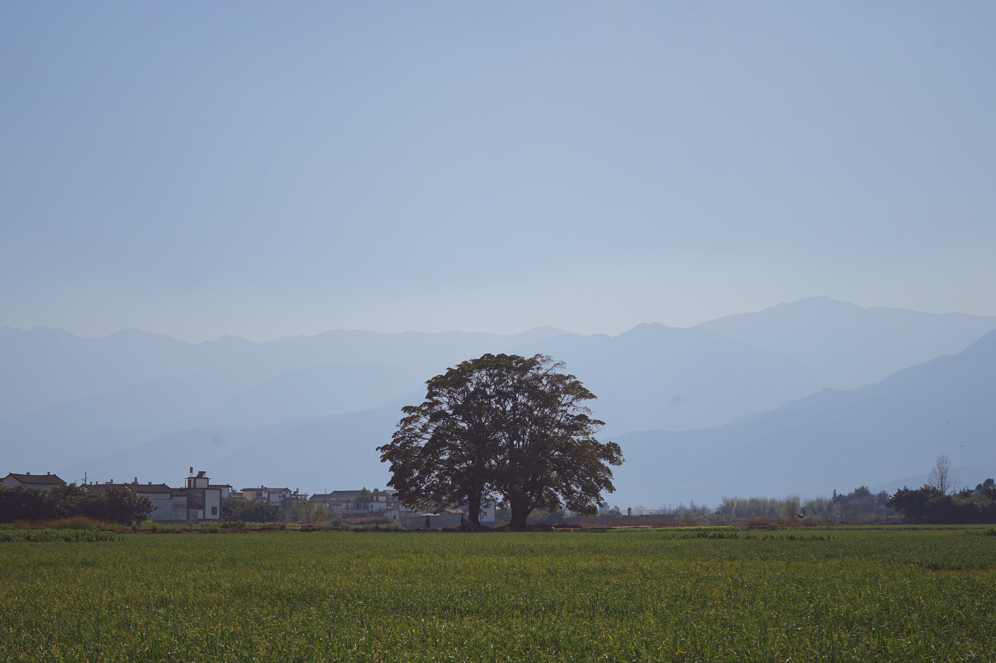 Sony FE 50mm F1.8 sample photo