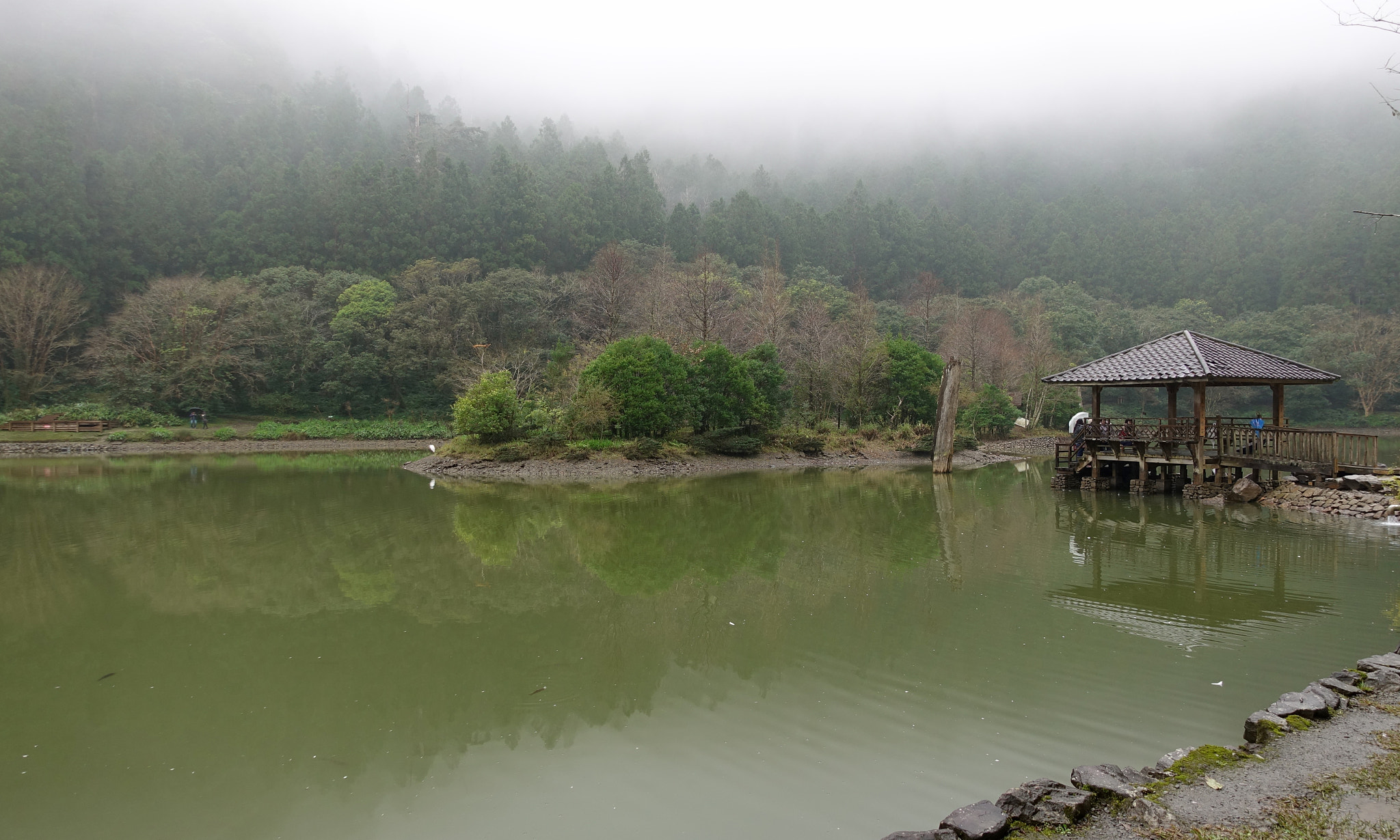 Sony DSC-RX100M5 sample photo. Rainy ming pond 明池，yilan, taiwan photography