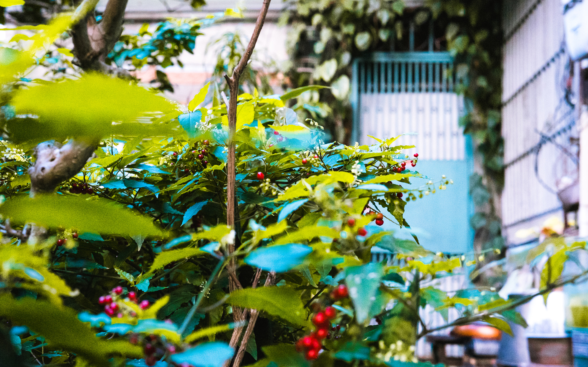 Fujifilm X-T10 + Fujifilm XF 35mm F2 R WR sample photo
