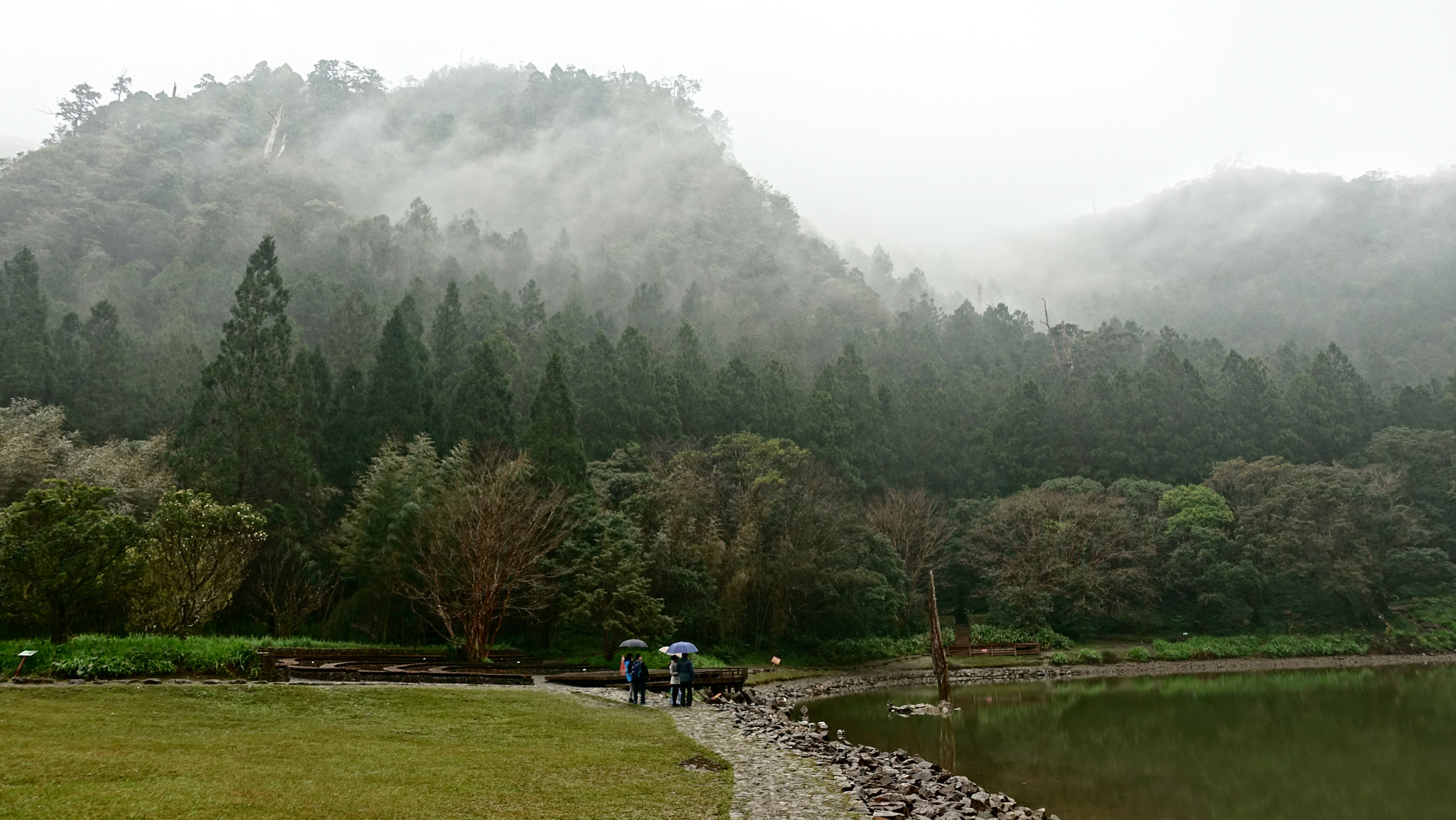 Sony DSC-RX100M5 sample photo. Ming pond 明池，yilan, taiwan photography