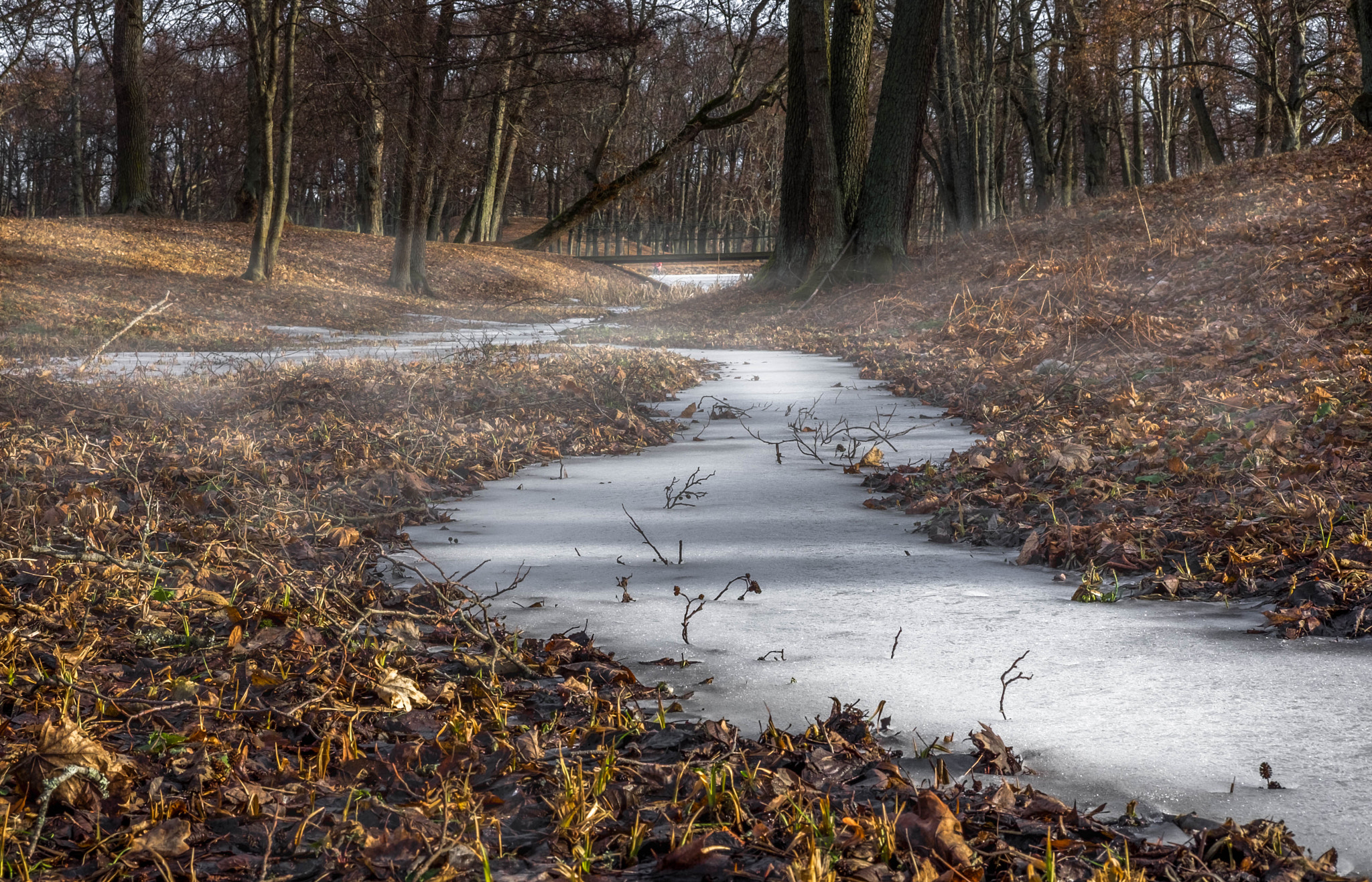 Fujifilm X-T10 + Fujifilm XF 35mm F2 R WR sample photo. Drottningholm photography