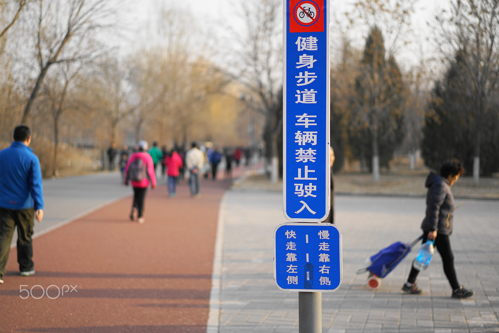 Sony a7R II + Sony Sonnar T* FE 55mm F1.8 ZA sample photo. 健身步道 photography
