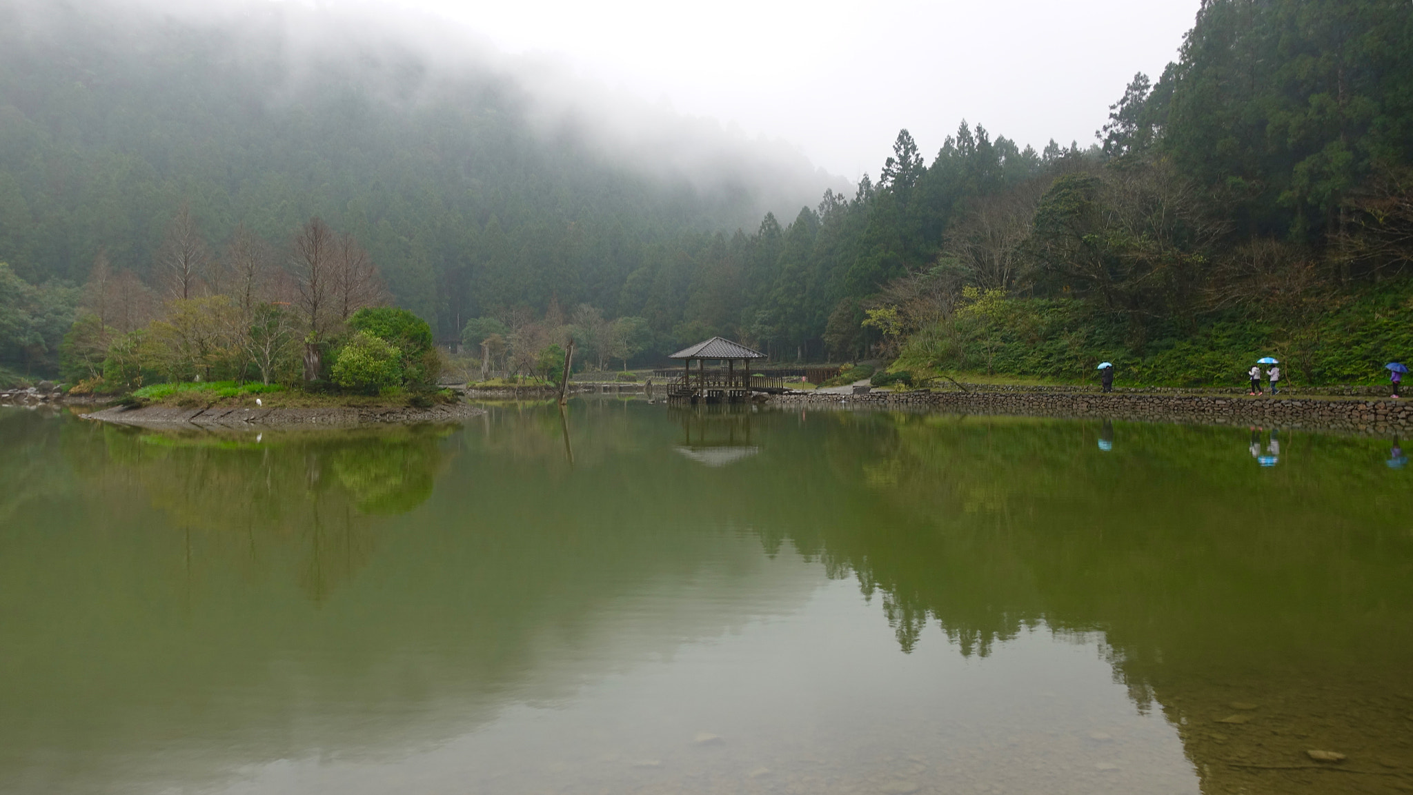 Sony DSC-RX100M5 + Sony 24-70mm F1.8-2.8 sample photo. Ming pond 明池，yilan, taiwan photography