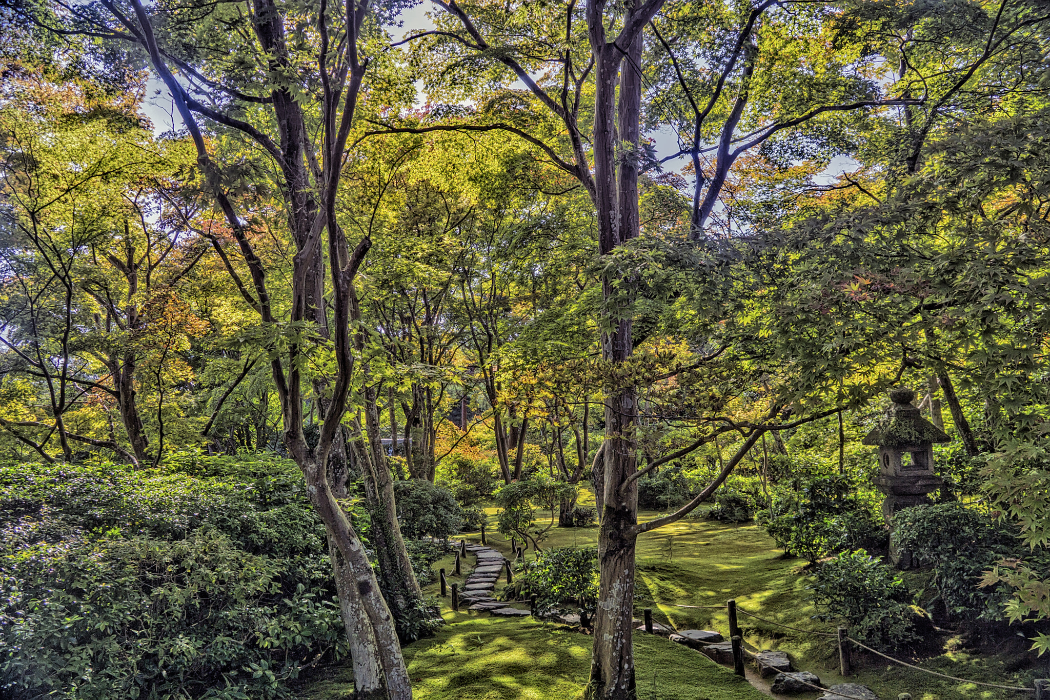 Sony a6000 sample photo. Okoshi sanso villa moss garden photography