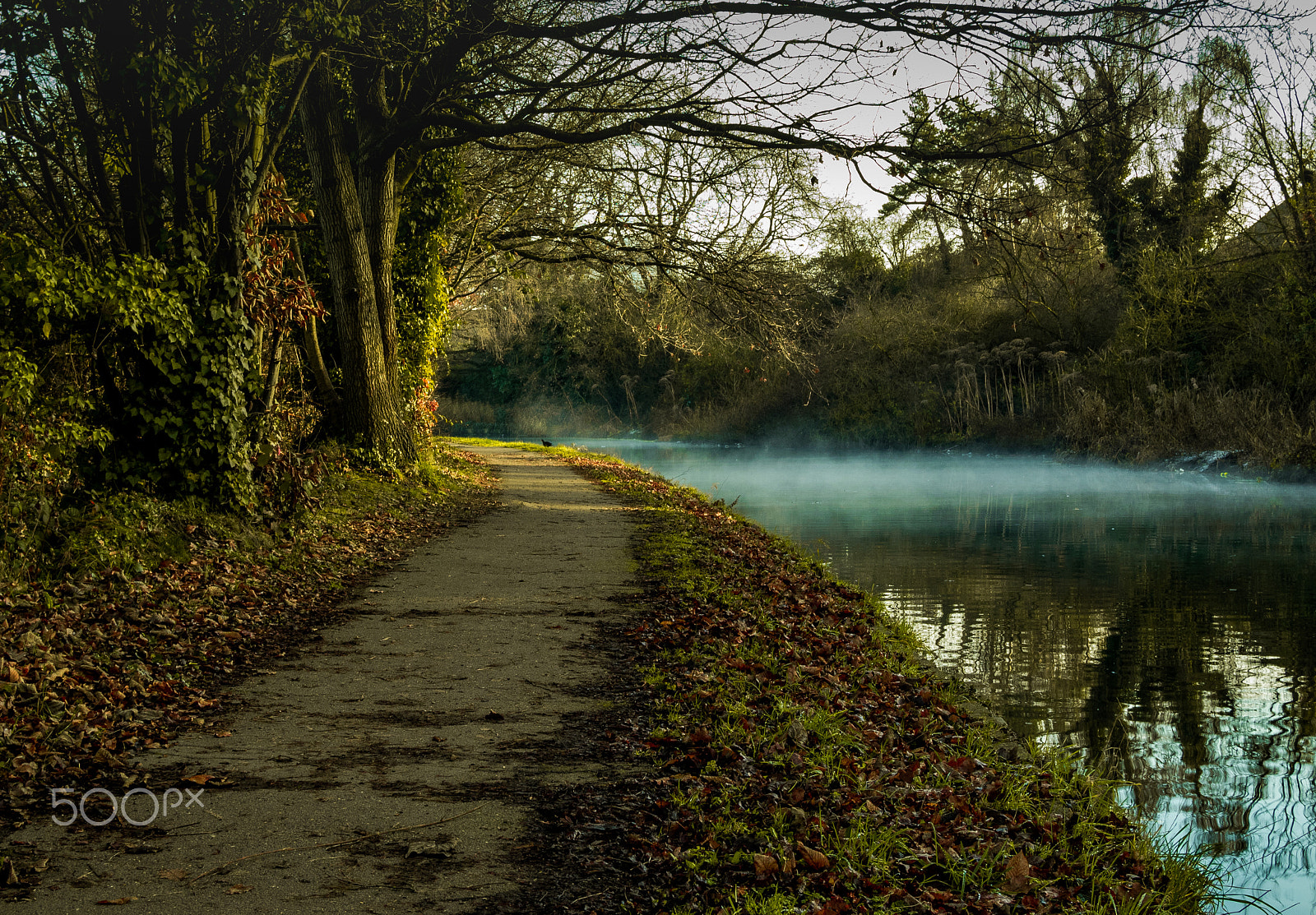 Olympus OM-D E-M1 sample photo. Mist on the grand union canal hanwell,london photography