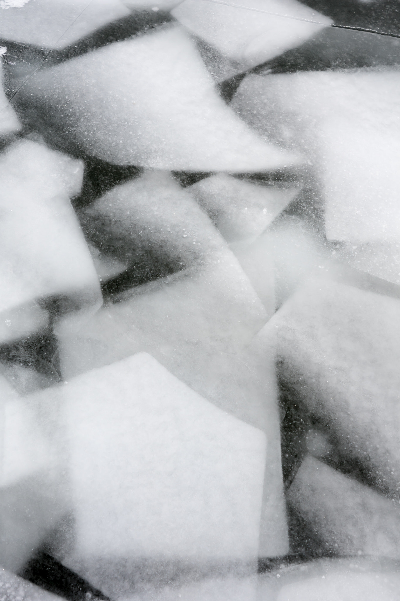 Sony ILCA-77M2 sample photo. Frozen ice floe photography