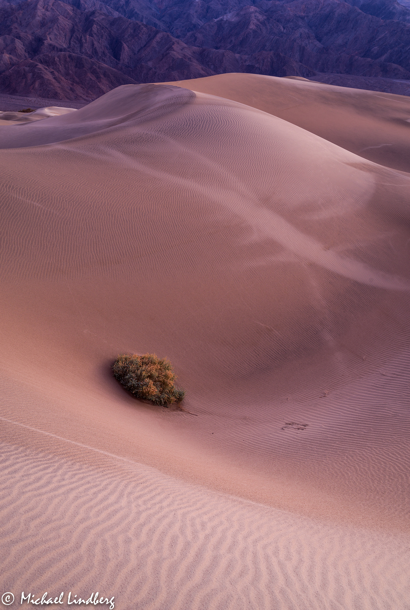 Pentax K-1 sample photo. Sand trap photography