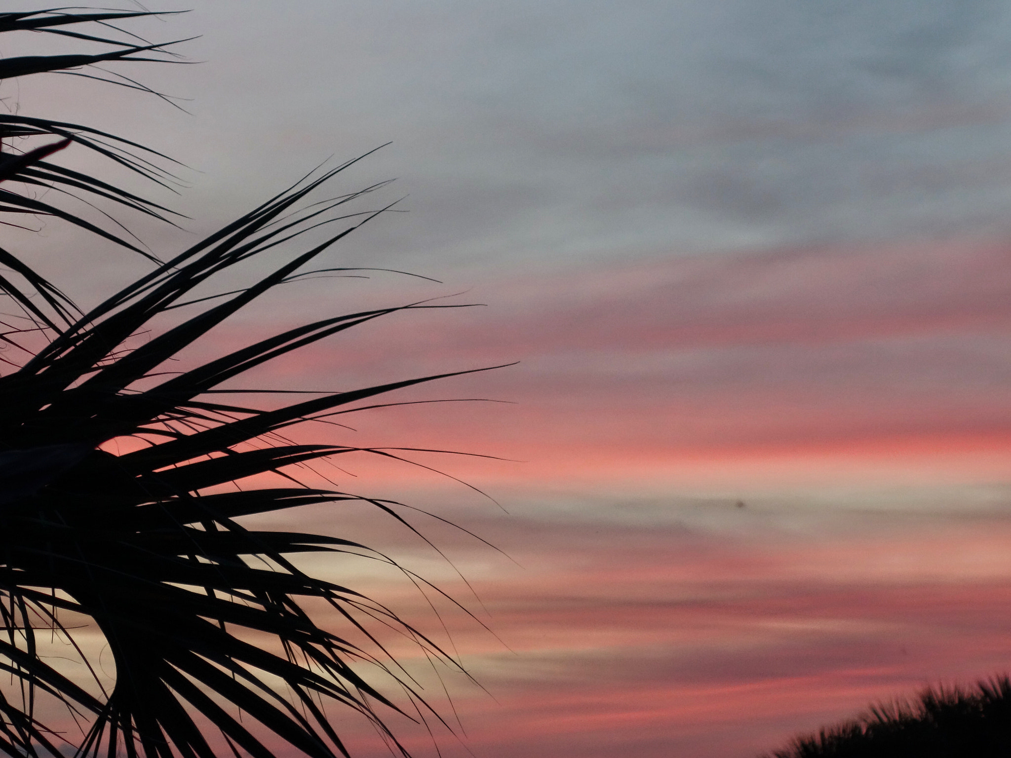 Sony Cyber-shot DSC-RX100 II + Sony 28-100mm F1.8-4.9 sample photo. Blue & pink dusk photography