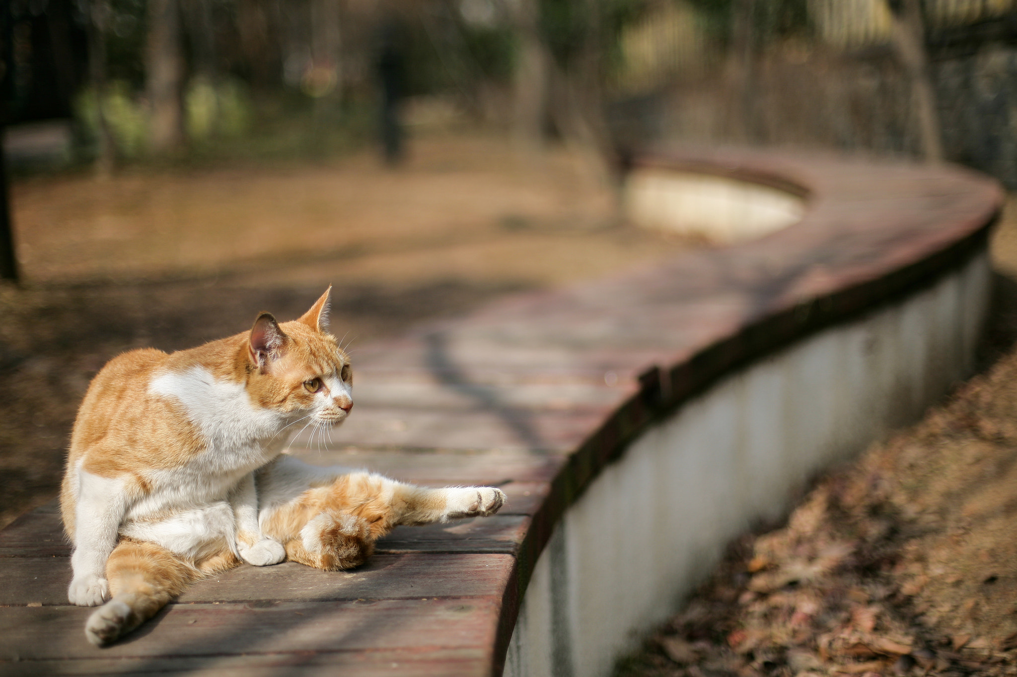 Canon EOS 5D + Canon EF 50mm F1.4 USM sample photo. Img photography