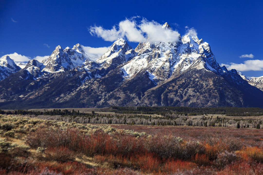 Sigma 24-105mm f/4 DG OS HSM | A sample photo. Three sisters photography