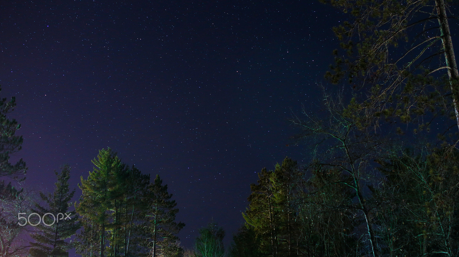 Canon EOS 6D sample photo. Starry night with trees photography