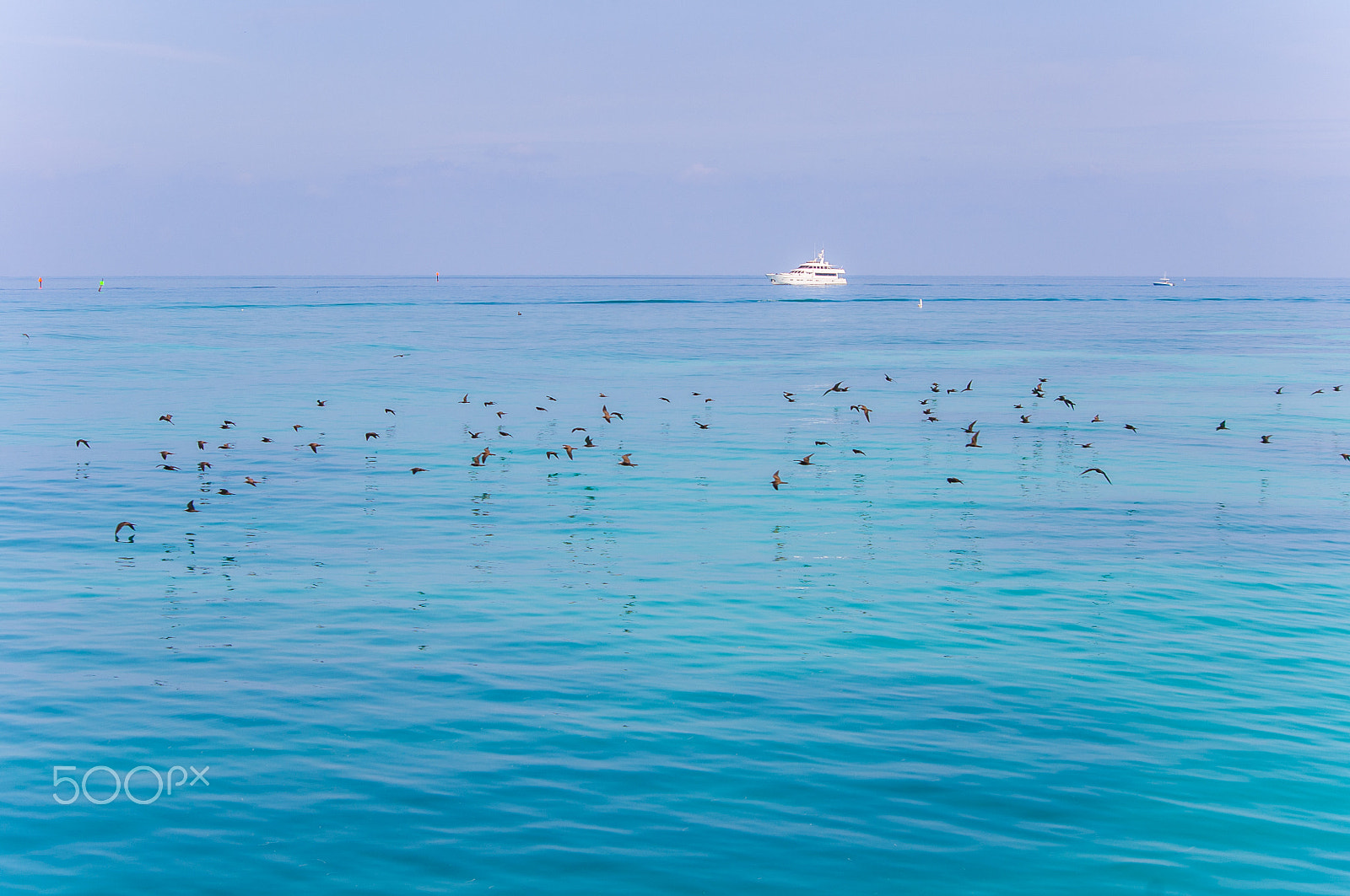 Pentax K-x sample photo. Peaceful sea photography