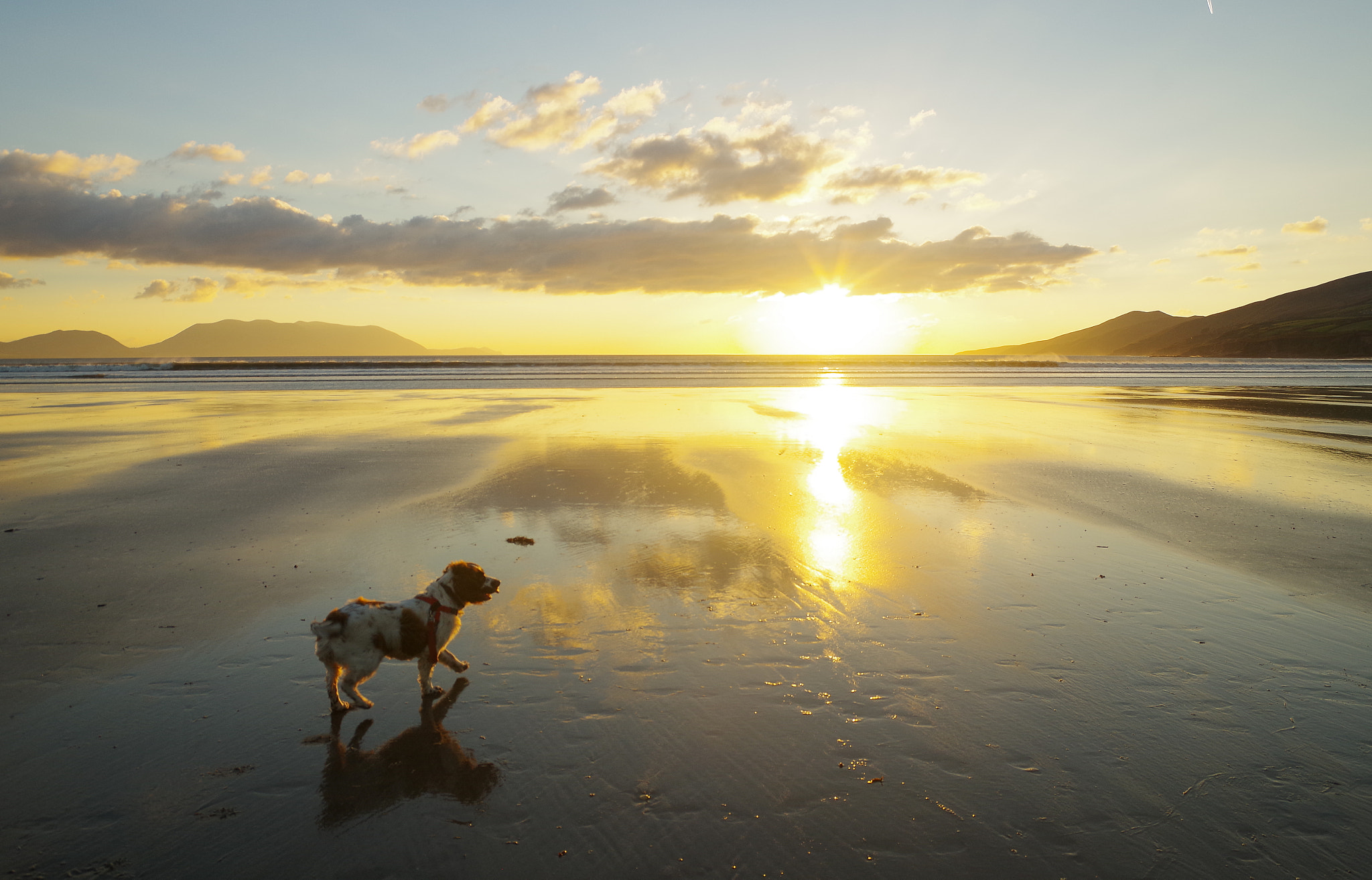 Pentax smc DA 16-45mm F4 ED AL sample photo. Archie dingle srgb photography