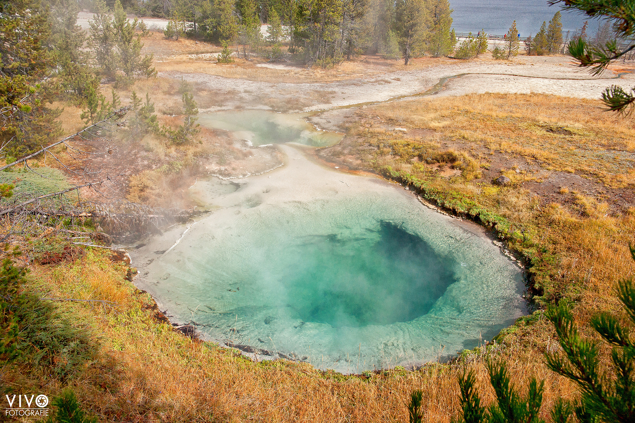 Sony Alpha DSLR-A900 sample photo. Yellowstone np photography