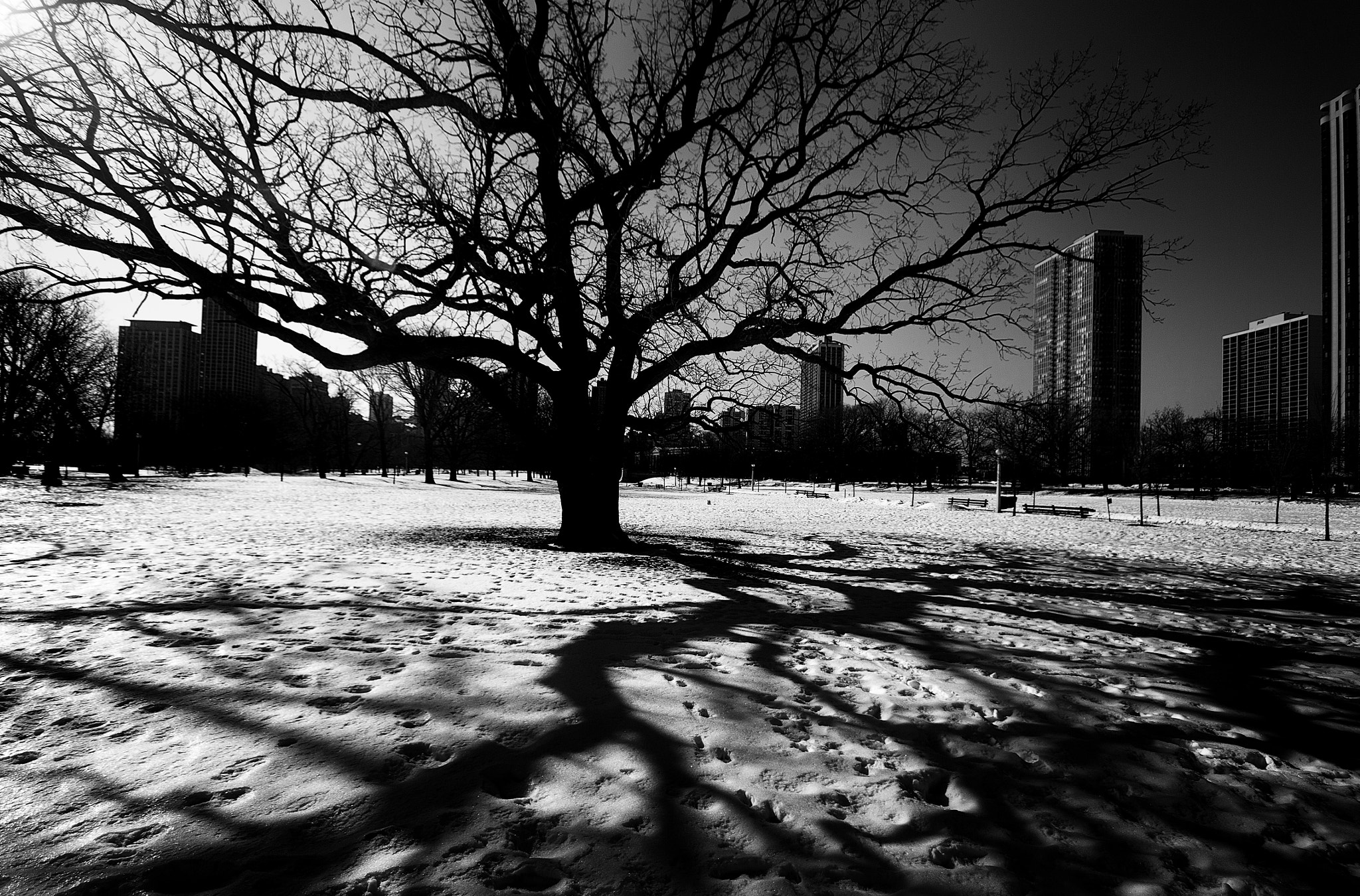 Canon EOS 50D + Sigma 10-20mm F4-5.6 EX DC HSM sample photo. Alone in the park photography