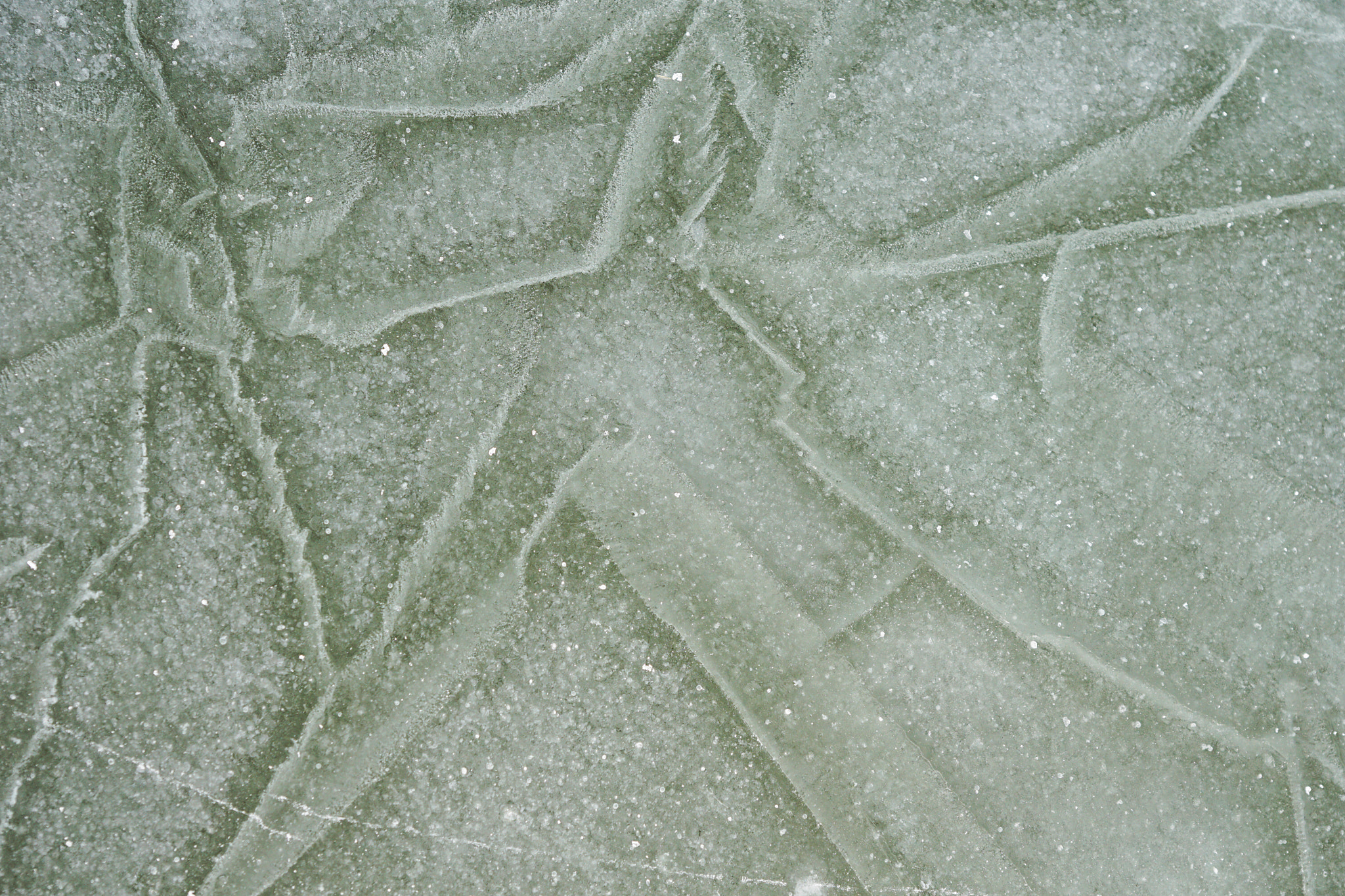Sony ILCA-77M2 sample photo. Ice pattern photography