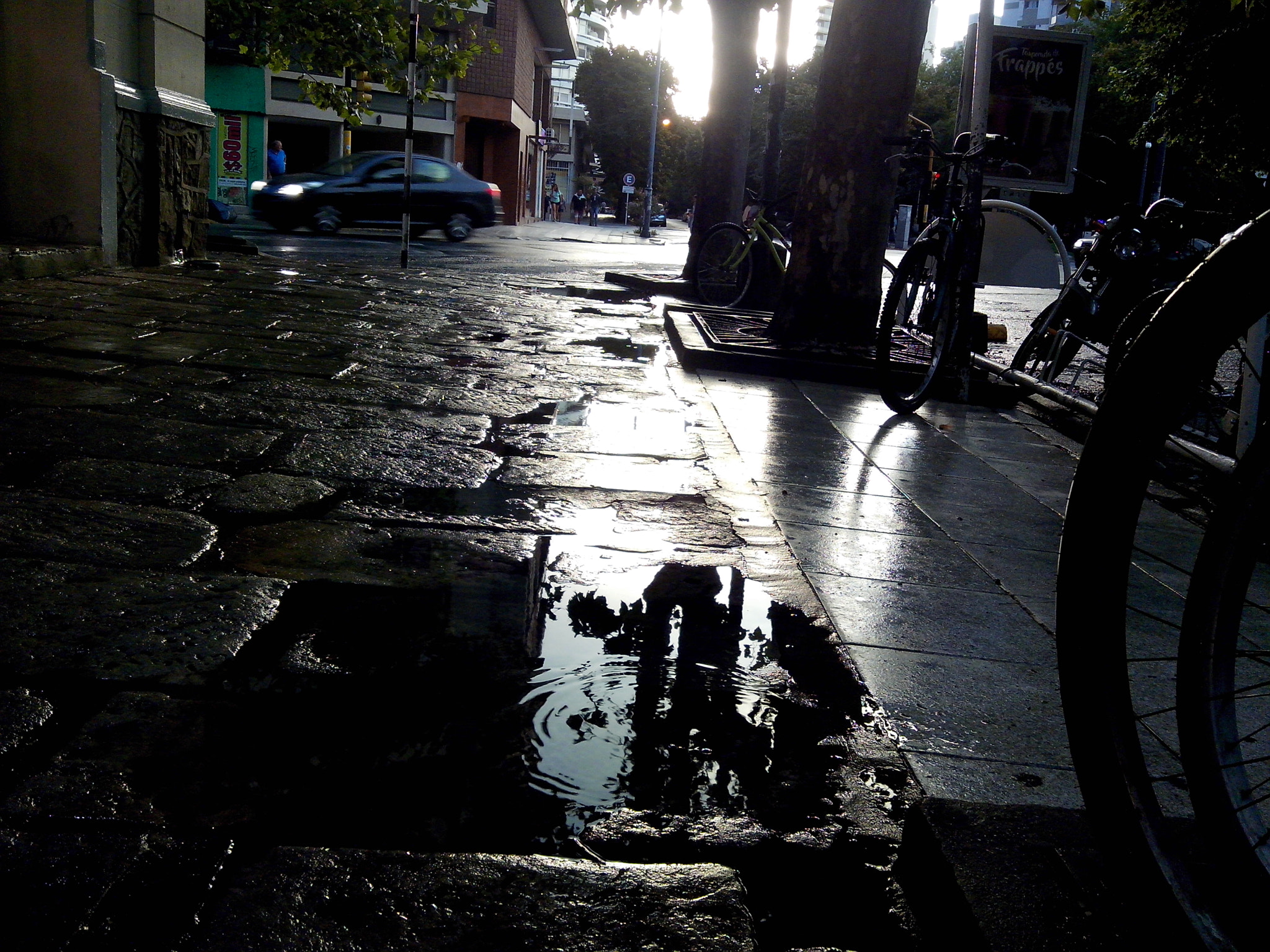 Motorola RAZR D3 sample photo. Mar del plata gray photography