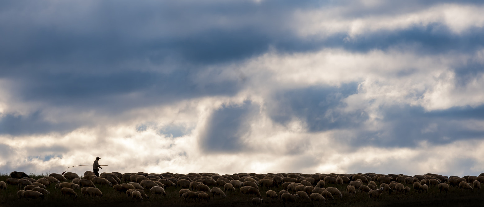 Nikon AF-S Nikkor 70-200mm F2.8G ED VR II sample photo