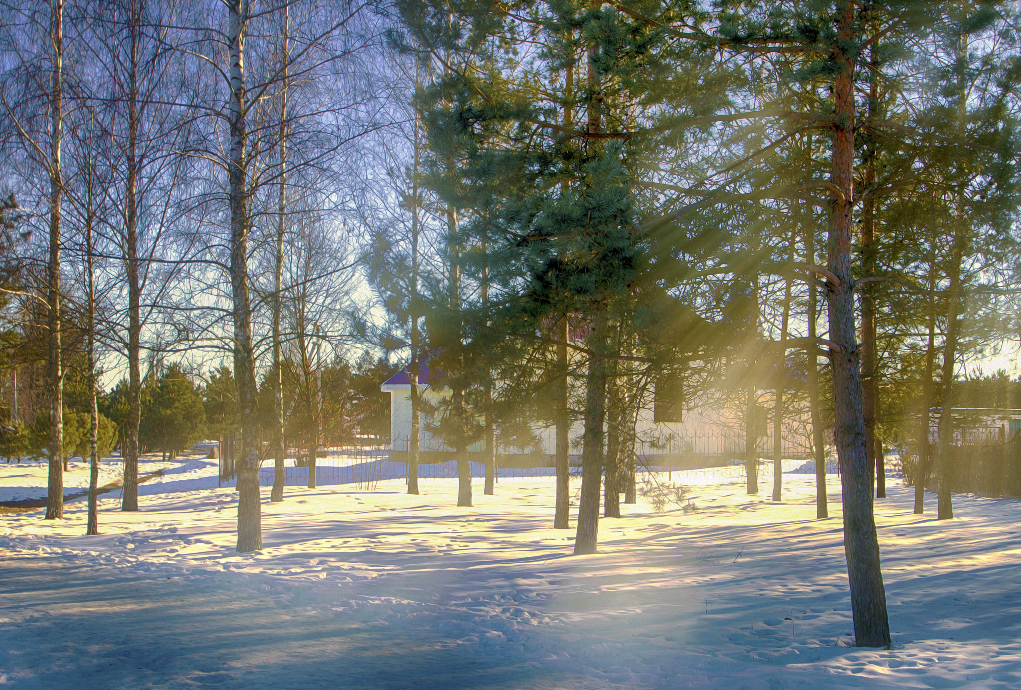Nikon D3200 sample photo. Зимний день photography