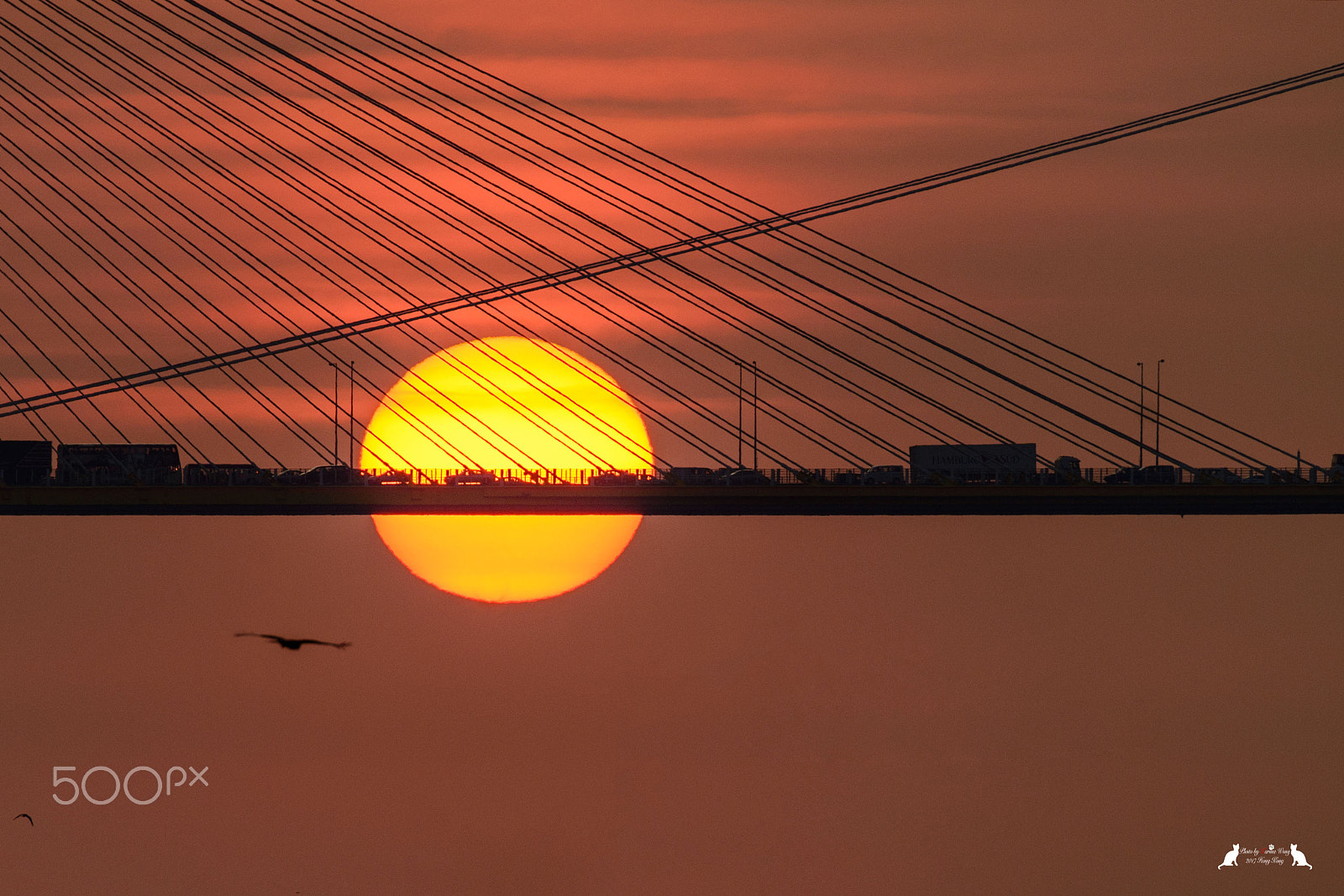 Nikon D800E sample photo. Sun photography