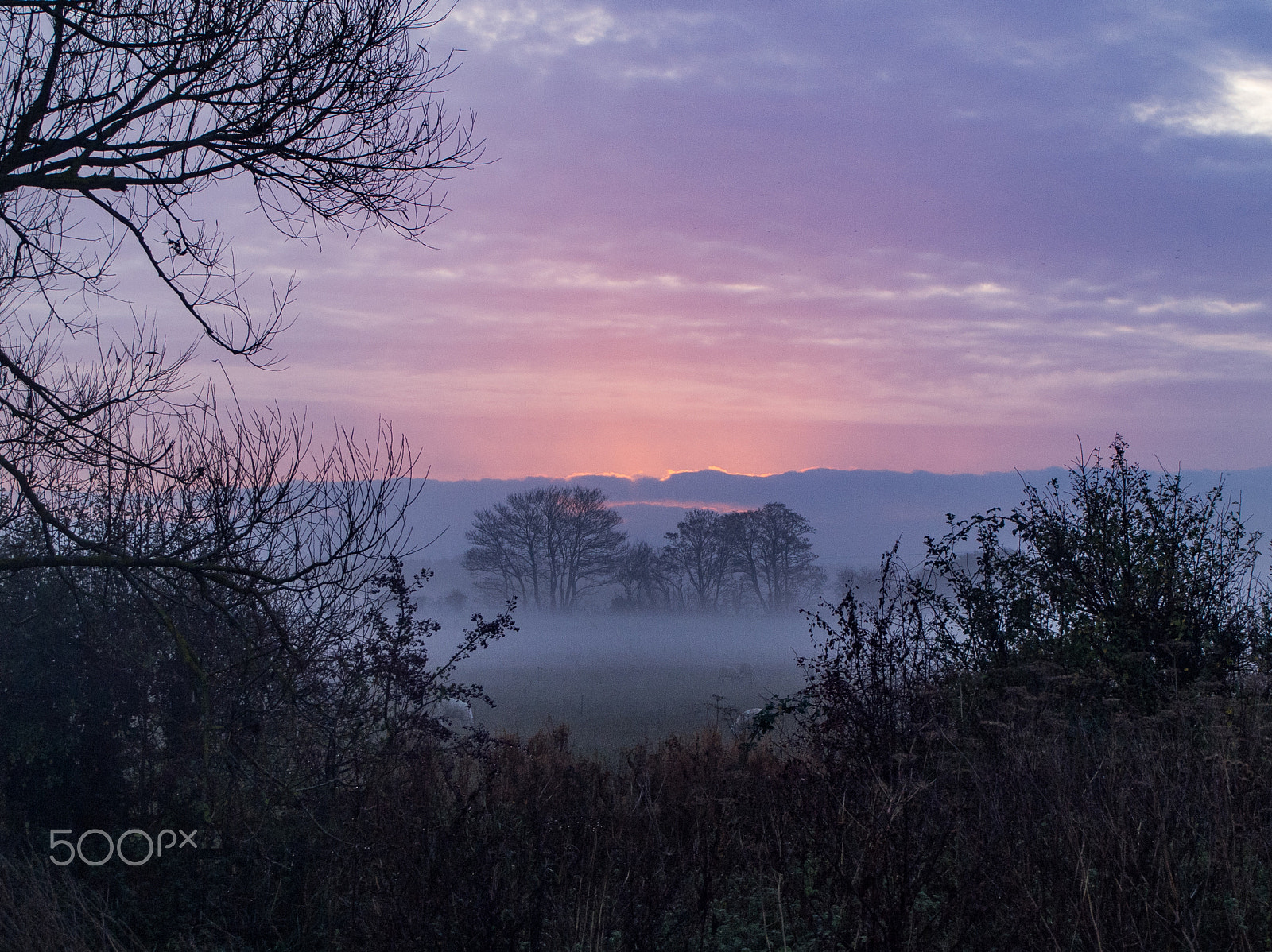 Olympus PEN E-PL2 + Olympus M.Zuiko Digital 14-42mm F3.5-5.6 II sample photo. Sunrise over oxfordshire uk photography