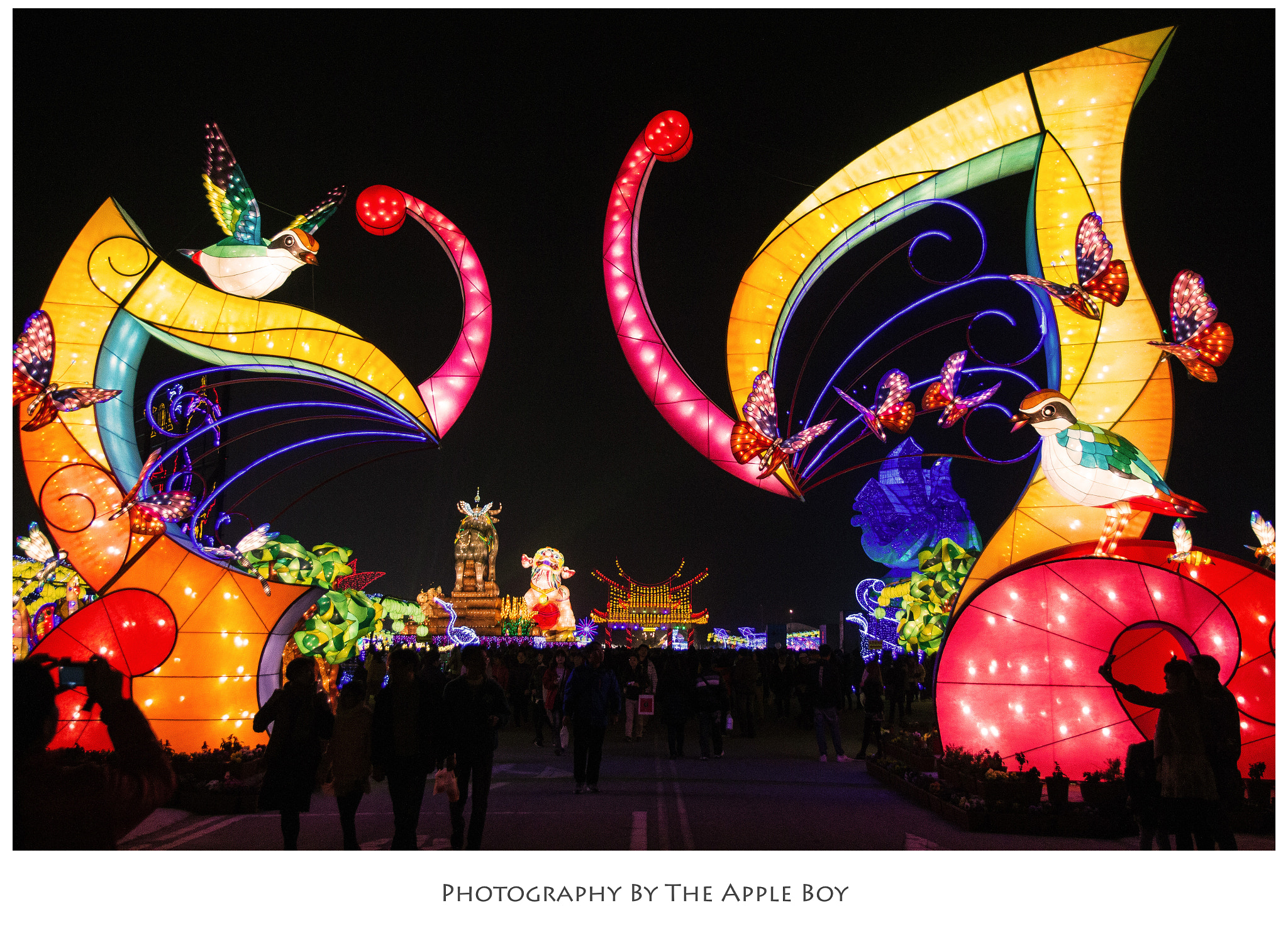Canon EF-S 17-55mm F2.8 IS USM sample photo. Lanterns photography