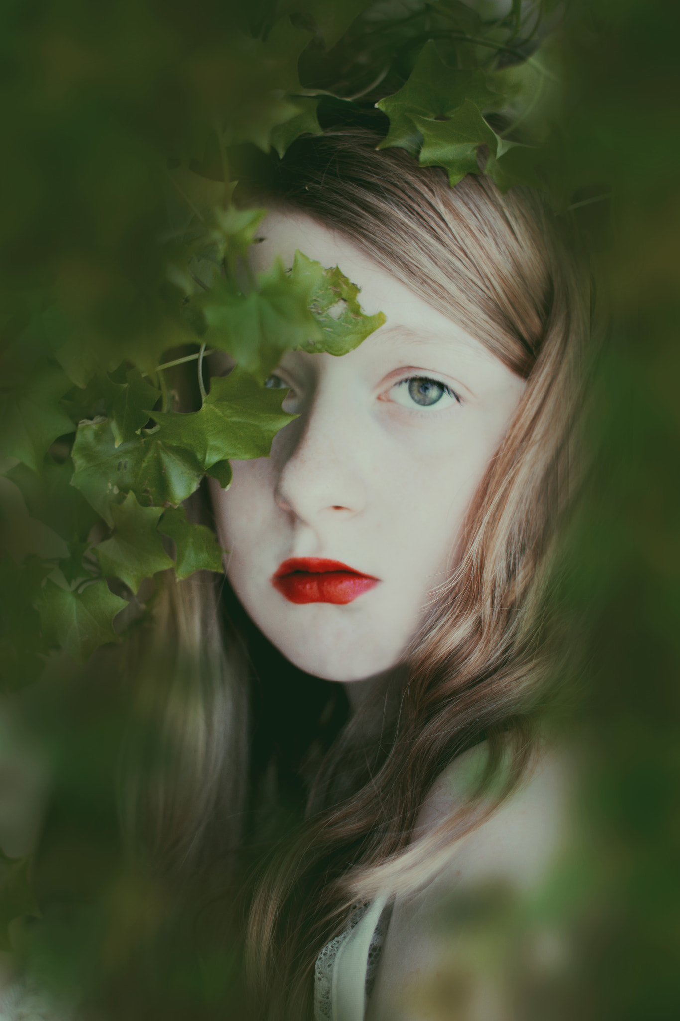 Canon EF 28mm F1.8 USM sample photo. The garden photography