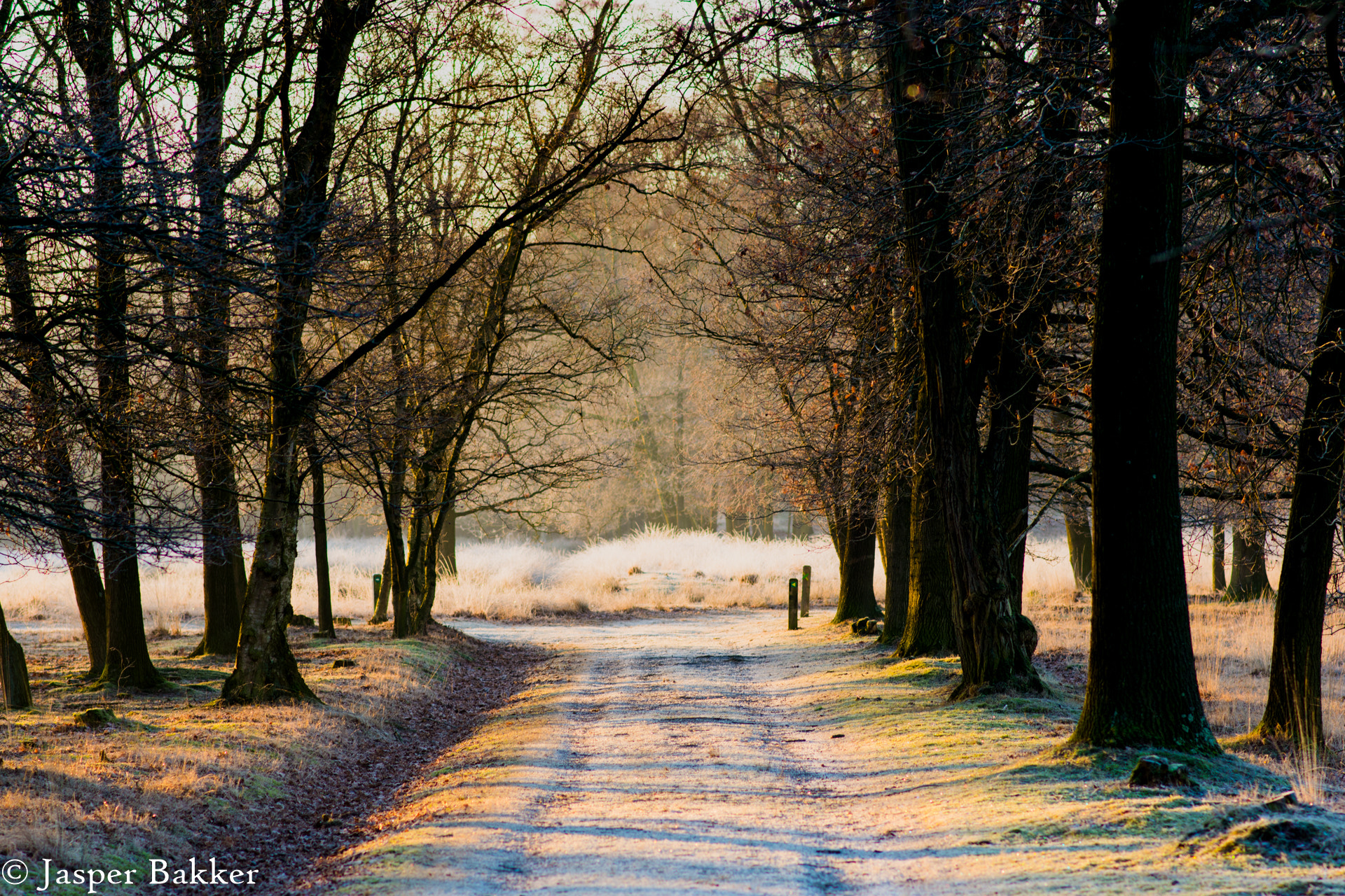 Nikon D7200 sample photo. Early morning walk. photography