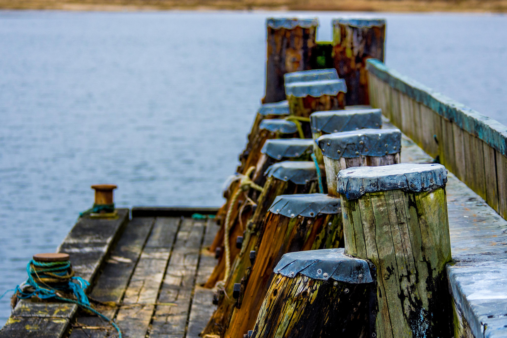 Nikon D7200 sample photo. Bulwark photography