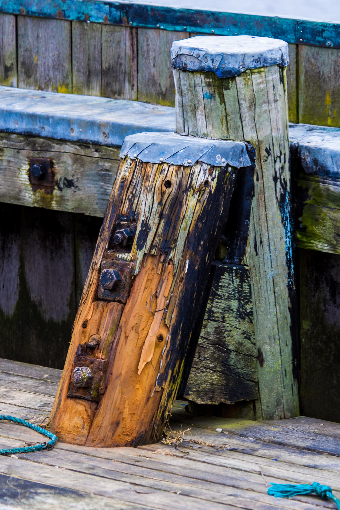 Nikon D7200 sample photo. Bulwark photography