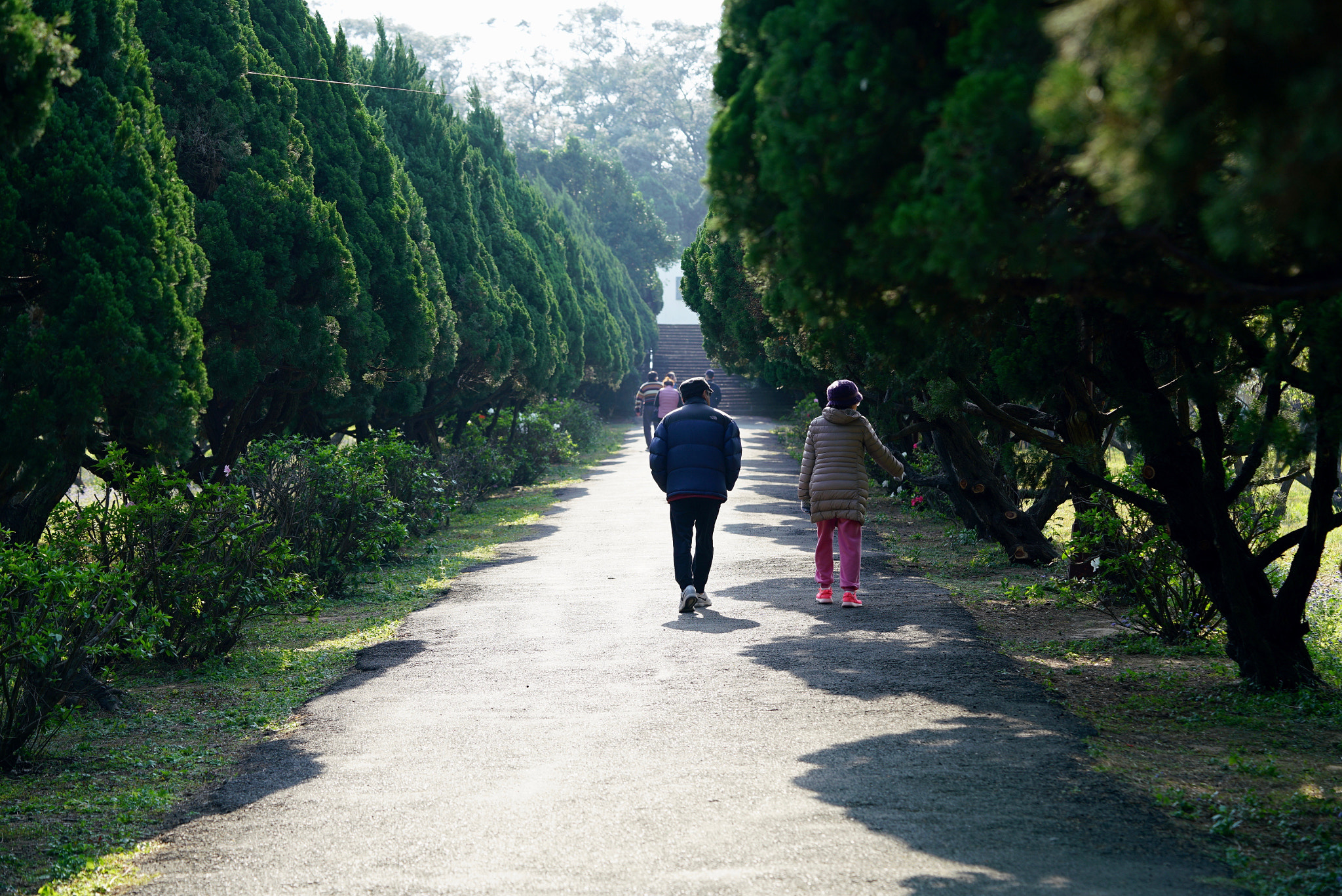 Sony a7R II + Sony FE 90mm F2.8 Macro G OSS sample photo. 32591412660.jpg photography