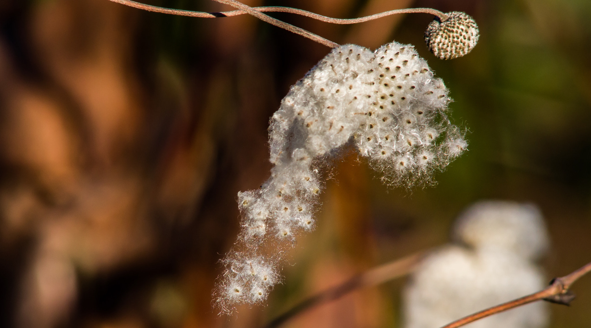 Canon EF 70-210mm f/4 sample photo. In der frühlingssonne schön aussehen photography