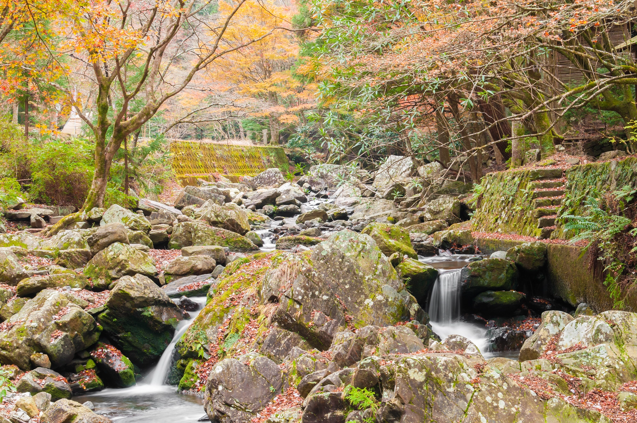 Nikon AF-S Nikkor 24-70mm F2.8G ED sample photo. Waterfall at kuragashi valley in autumn season.jap photography