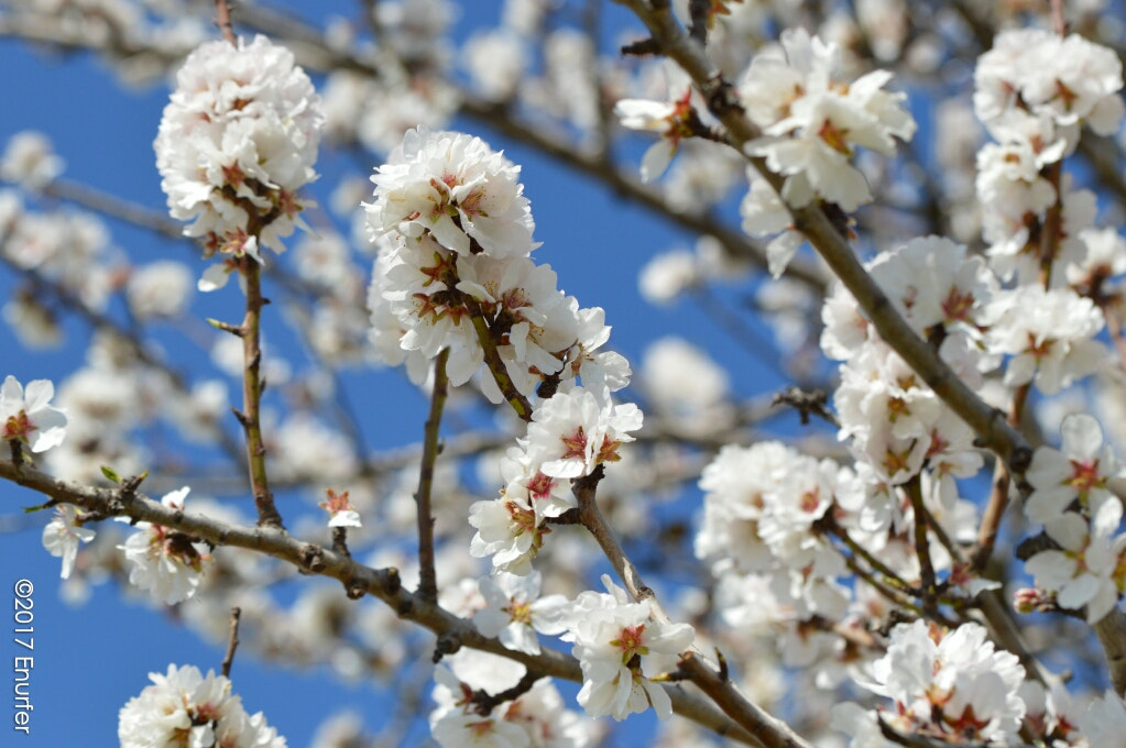Nikon D3200 sample photo
