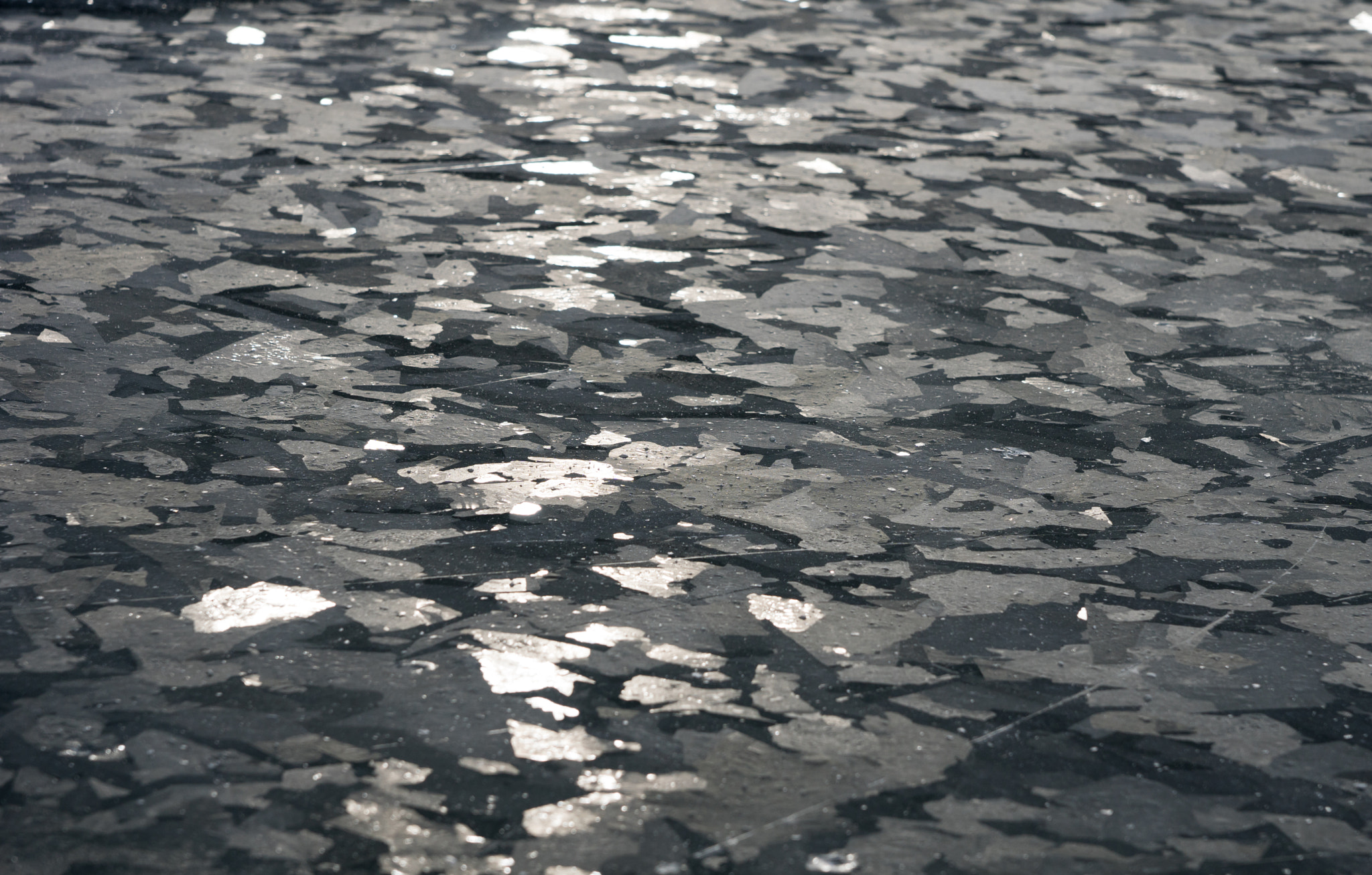 Sony ILCA-77M2 sample photo. Ice reflection photography