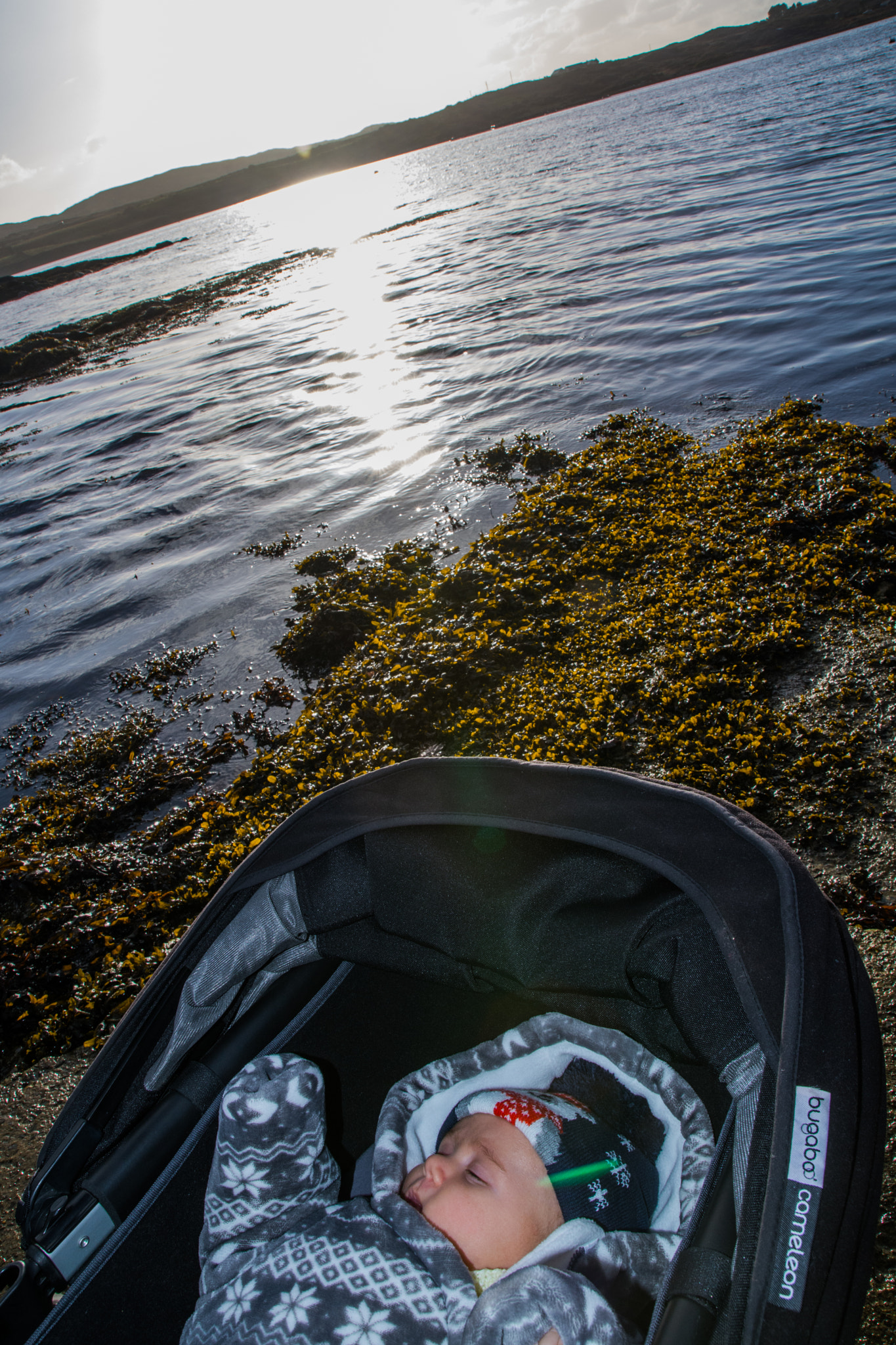 Nikon D7200 sample photo. Aaa photography