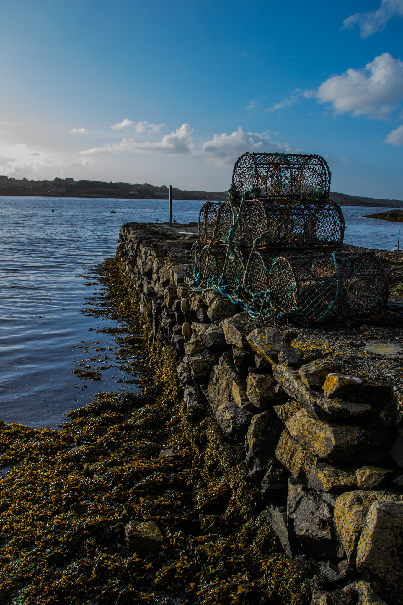 Nikon D7200 sample photo. Aaa photography