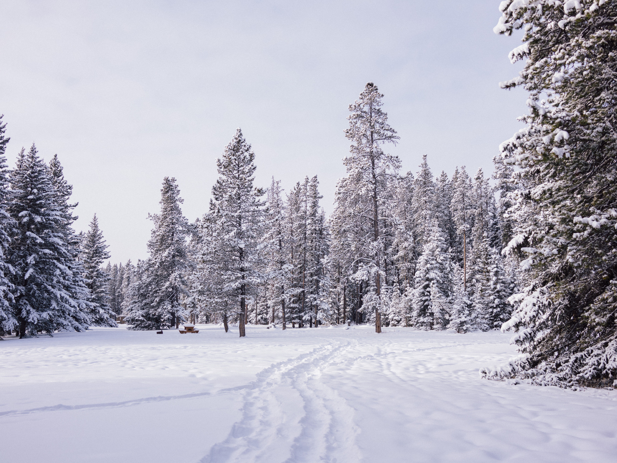 35mm F2.0 sample photo. Bragg creek photography