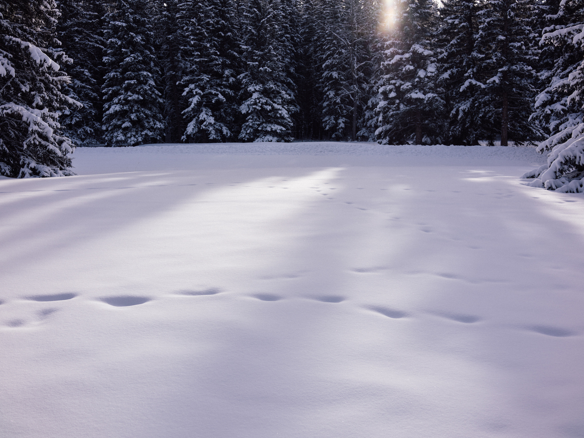 35mm F2.0 sample photo. Bragg creek photography