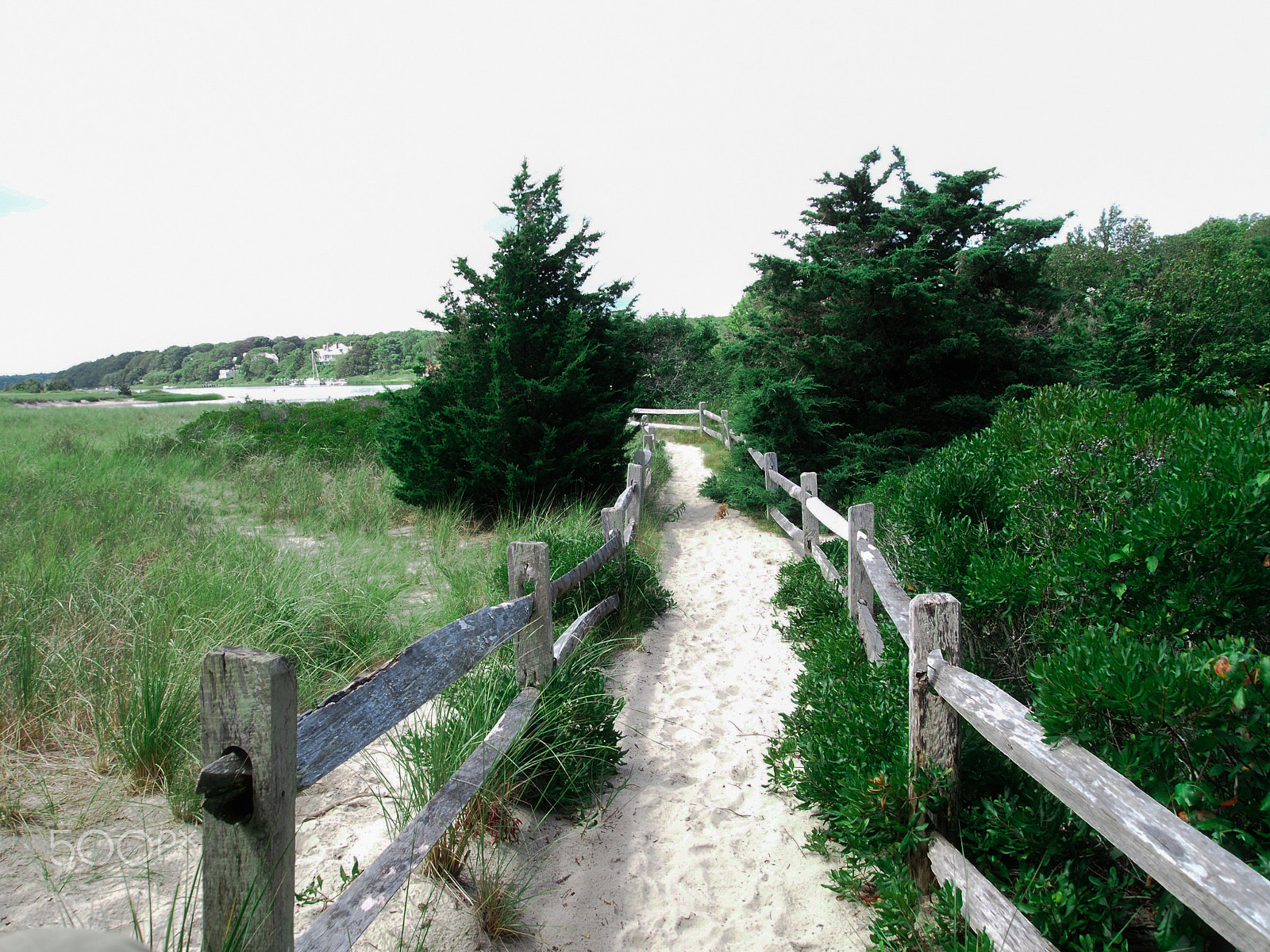 Olympus PEN E-PL1 sample photo. The path photography