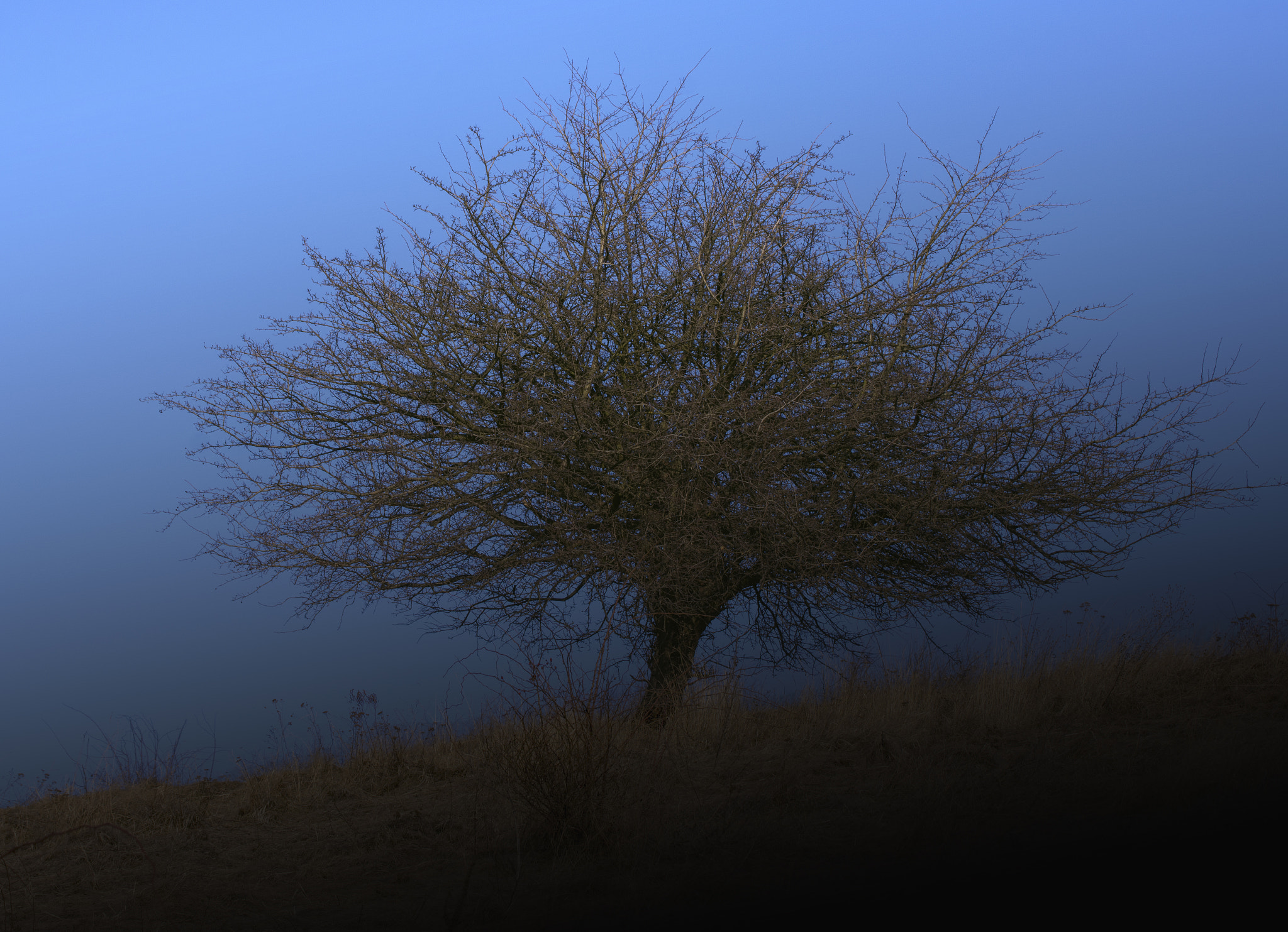 Nikon D7200 sample photo. Shadows! photography
