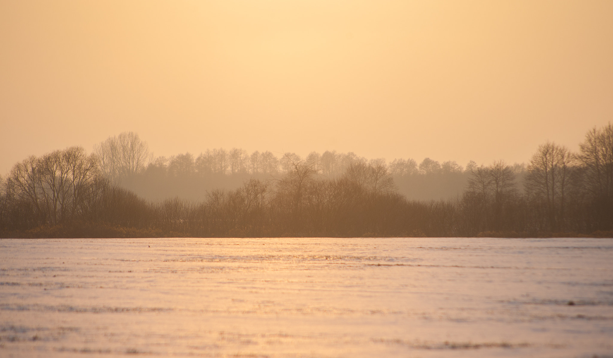 AF Nikkor 70-210mm f/4-5.6 sample photo. Frozen morning mnichowice photography