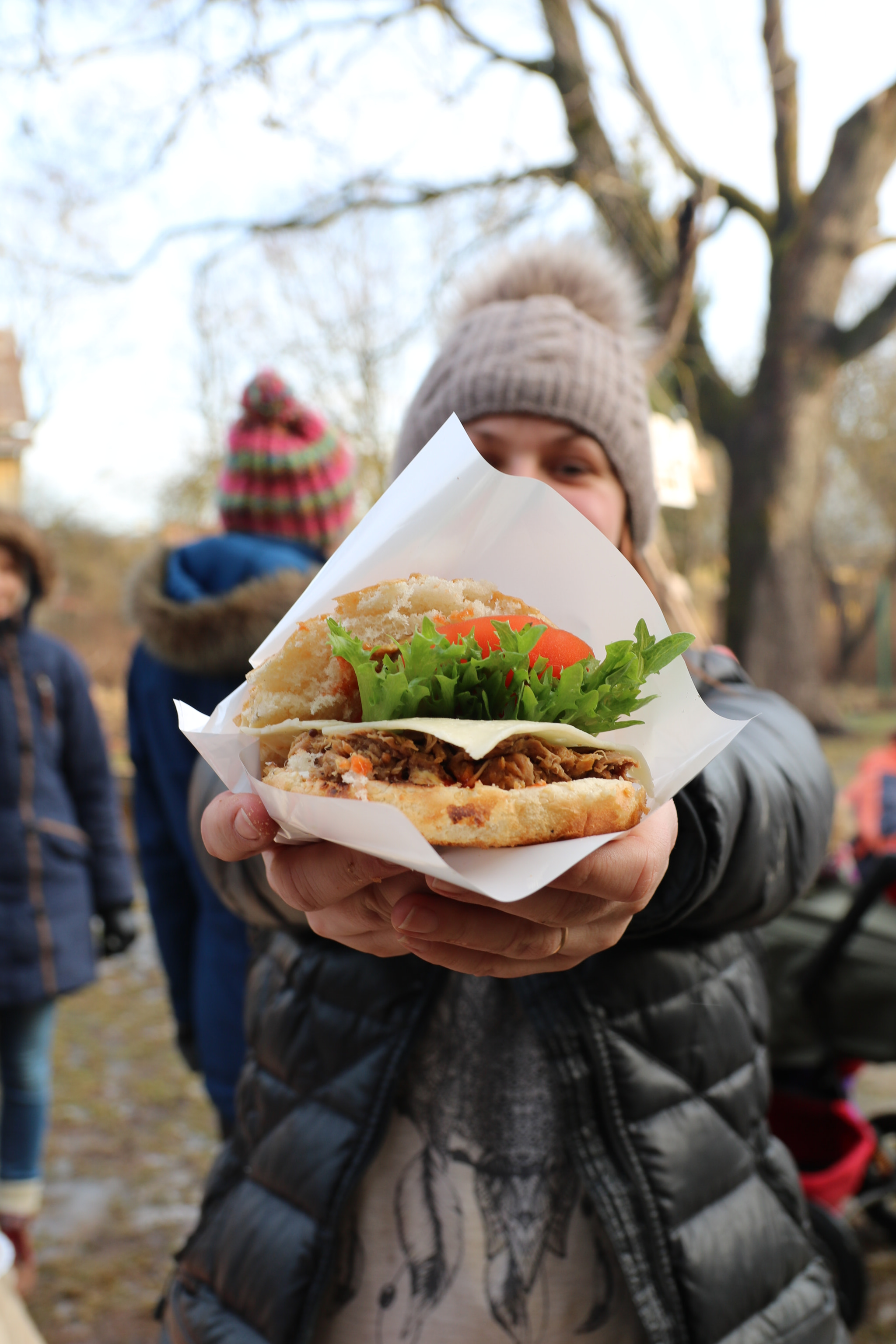 Canon EOS 760D (EOS Rebel T6s / EOS 8000D) sample photo. Hamburger photography