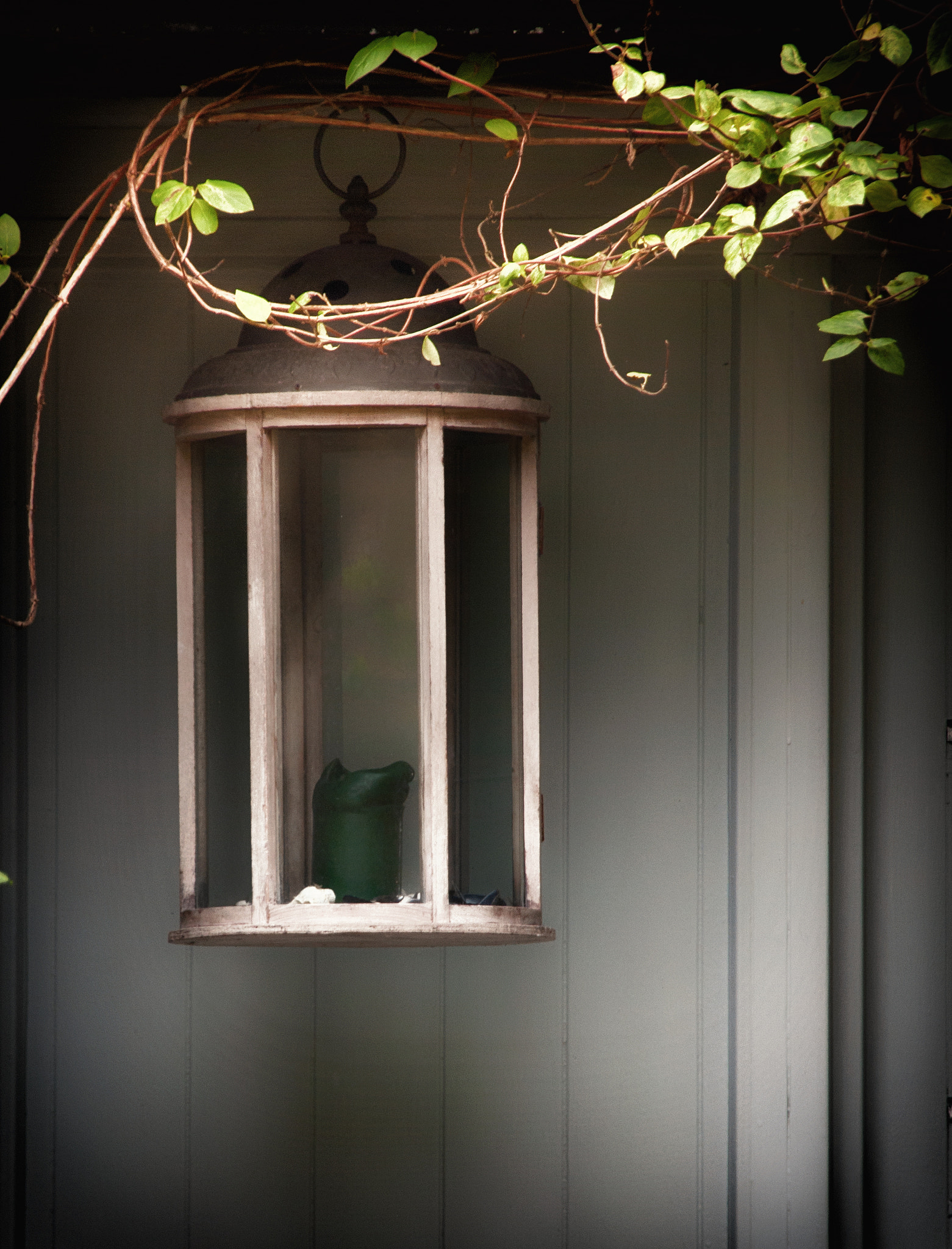 Sigma 18-200mm F3.5-6.3 DC OS HSM sample photo. The cottage photography