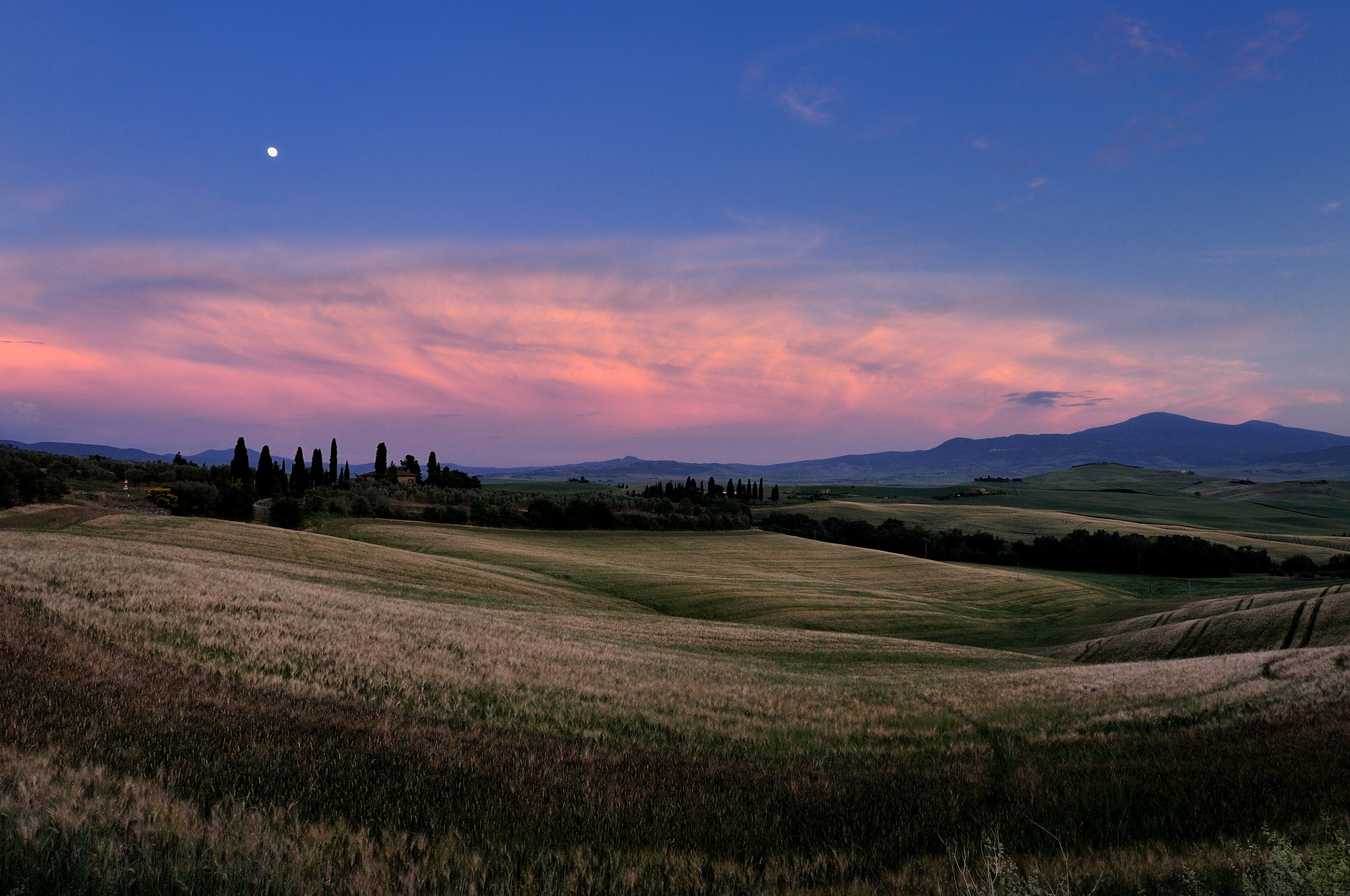 Nikon D90 sample photo. Purple sunset in tuscany photography